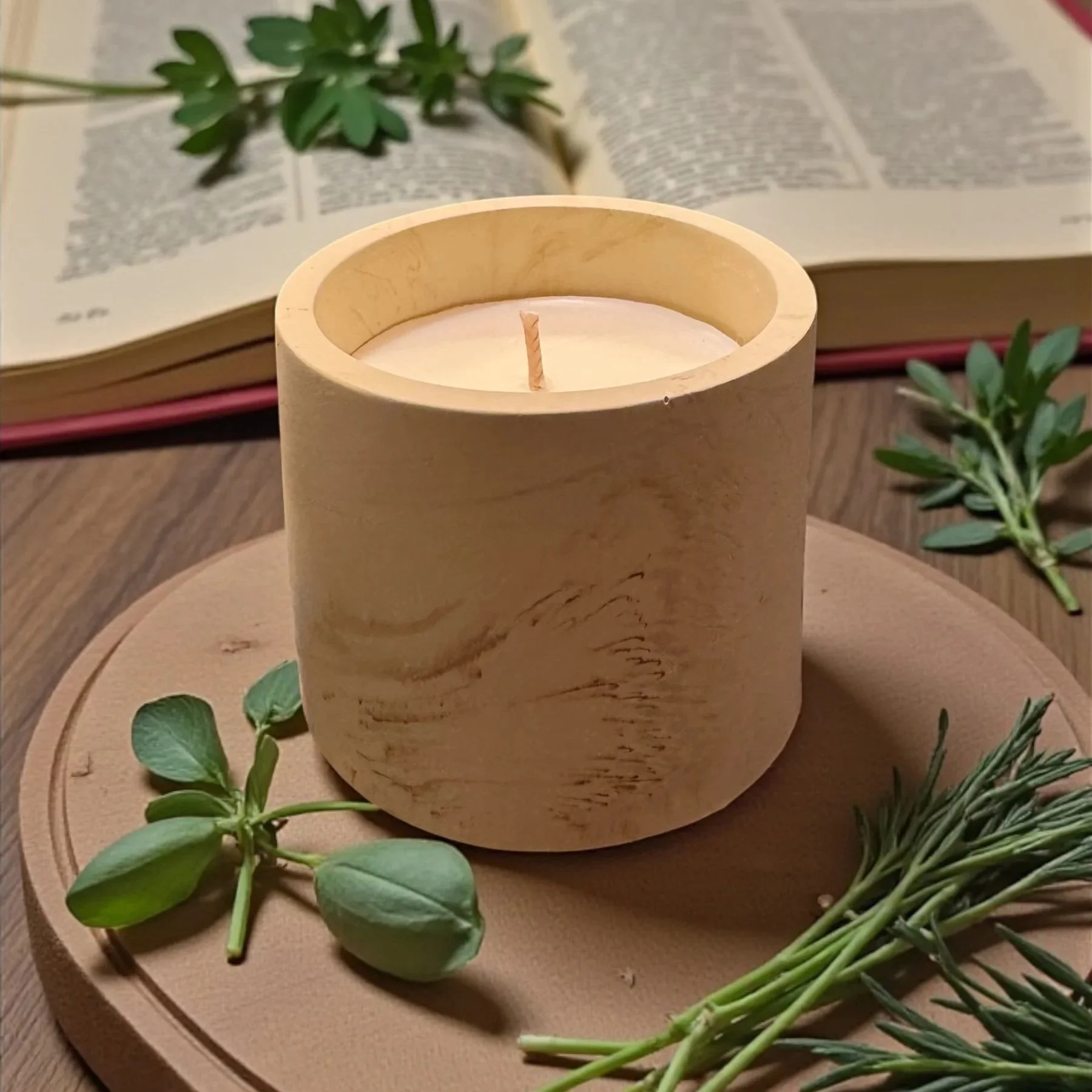 The Shed Pot in shade Wood