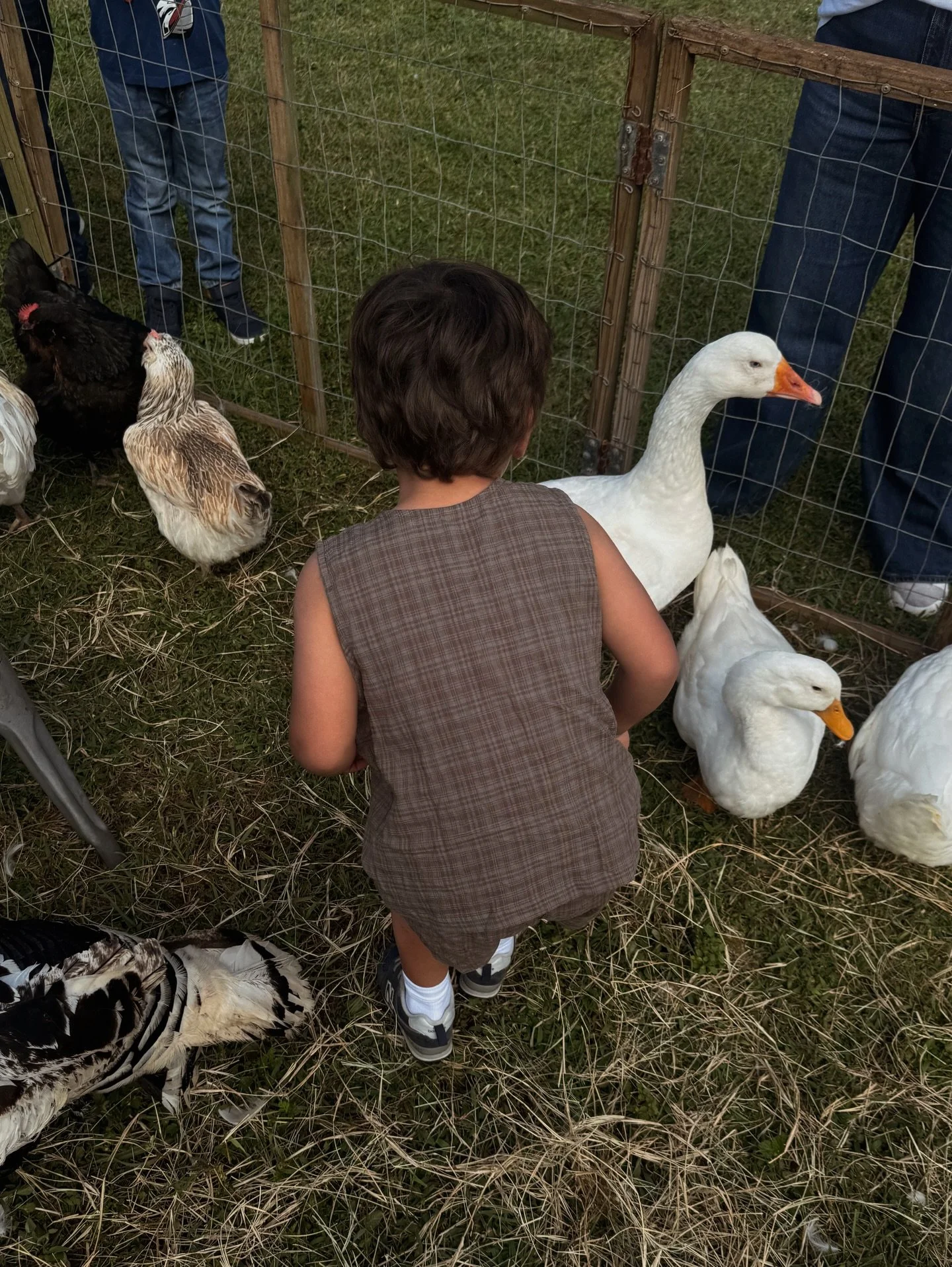 Big farm adventures in BB 🐓🪿☺️

#barnbaby #baby #brand #shop