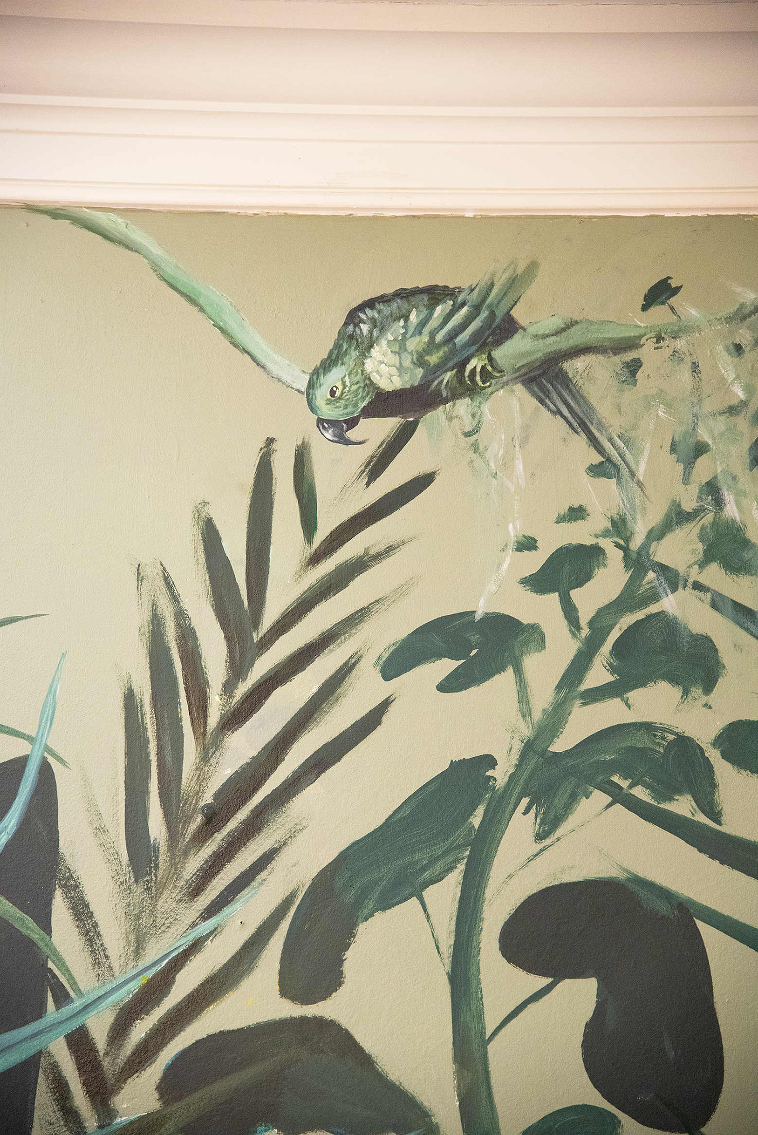 S_Garrigan_Parrot painting_for Web.tif.png