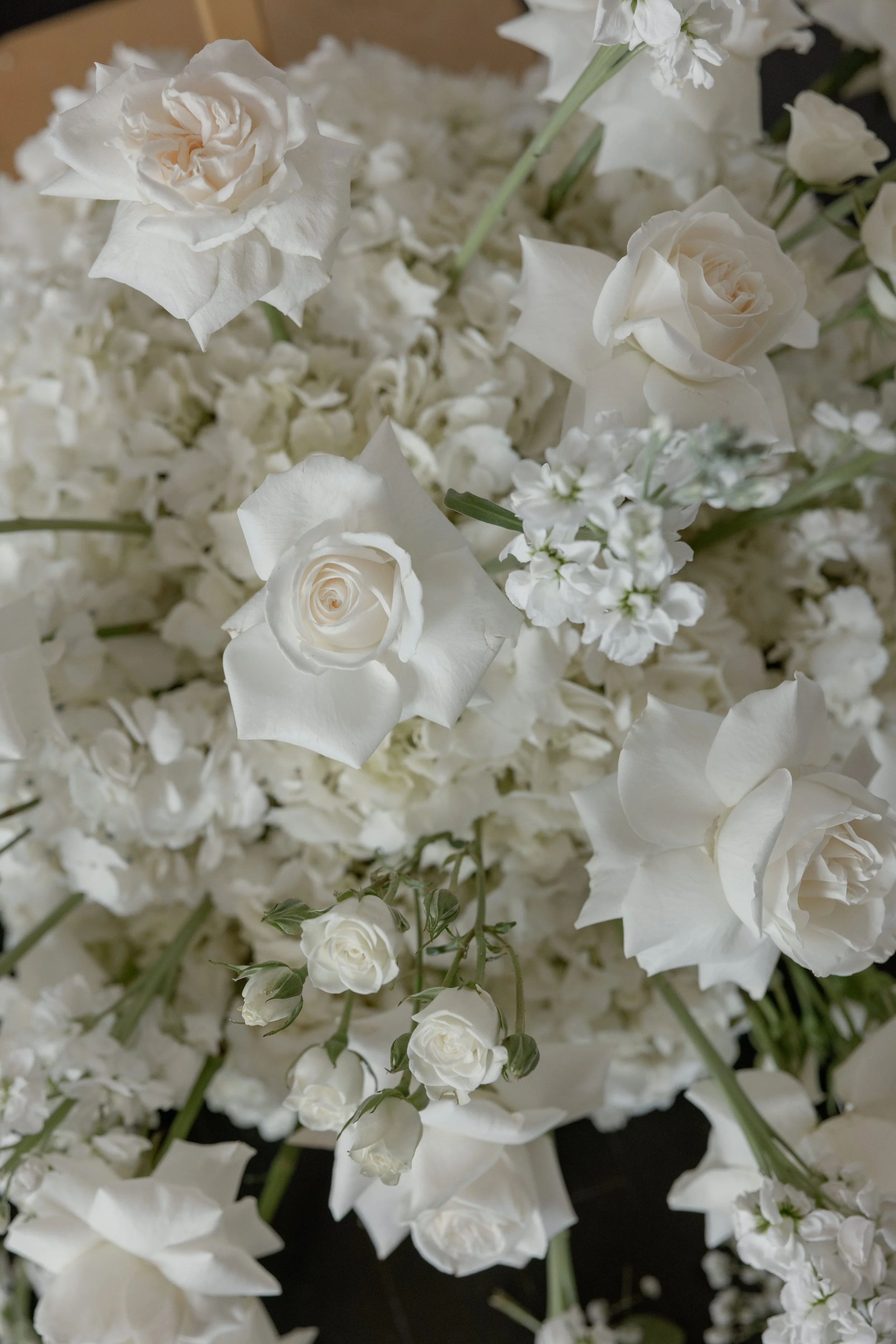 Aliza-Alec-Wedding-0428.jpg