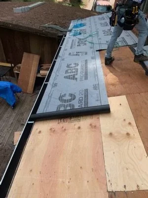 Dry rot repair. Always CDX never OSB.