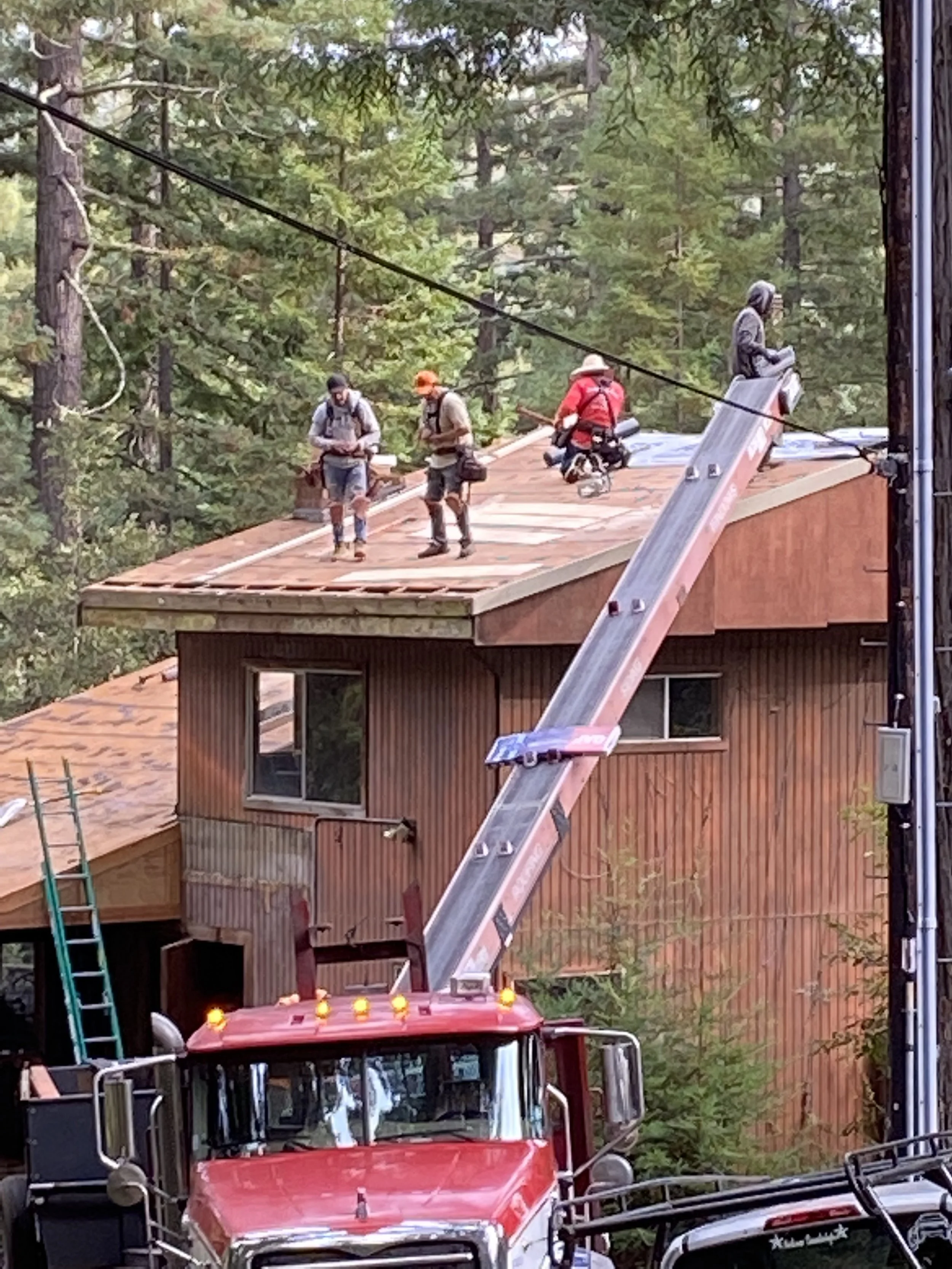 Dry rot repairs, underlayment and set up