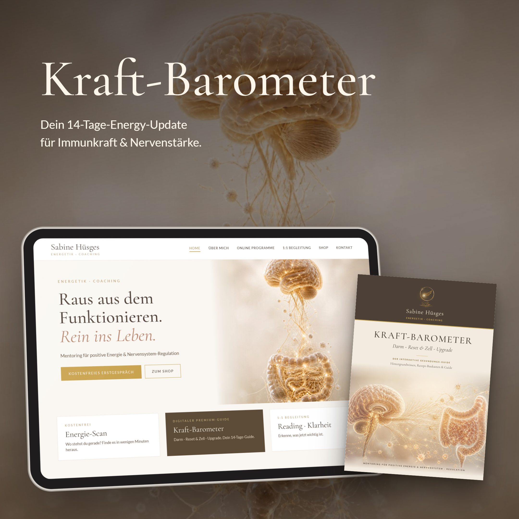 2 Kraft-Barometer Produktfoto.png