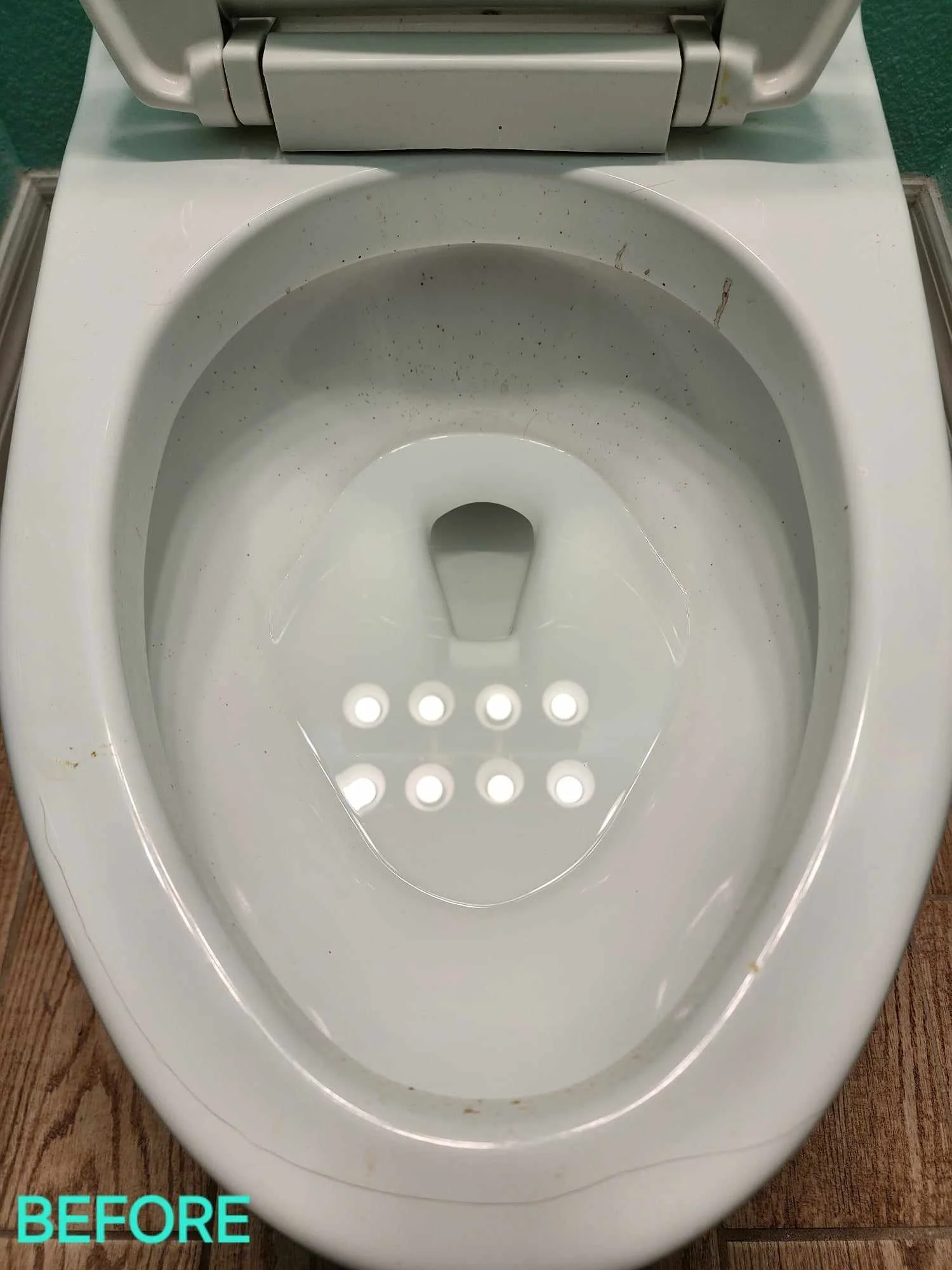 449085287_1151885679412669_5619643413418436175_n - Copy.jpg