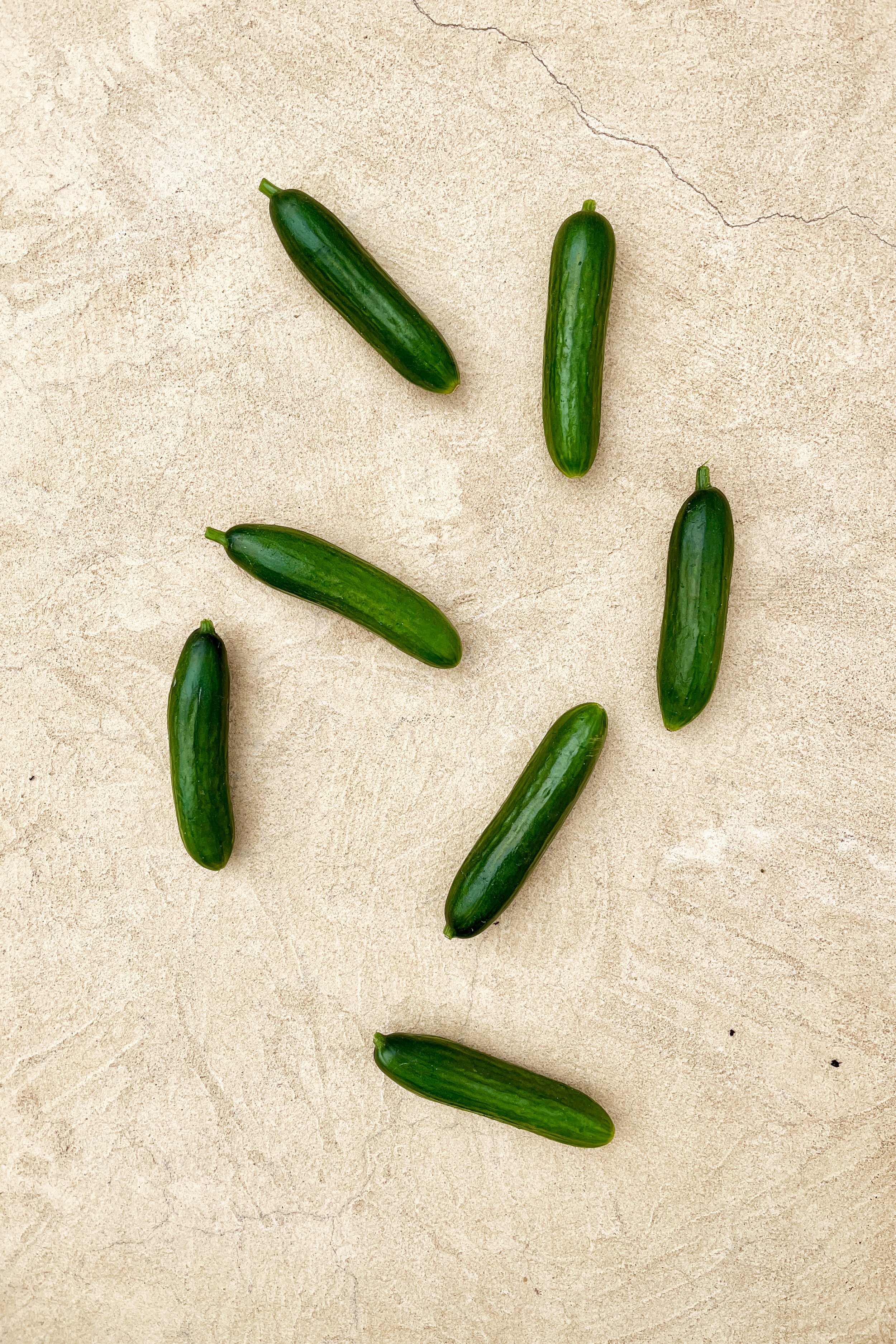 Cucumber Snacky.jpg