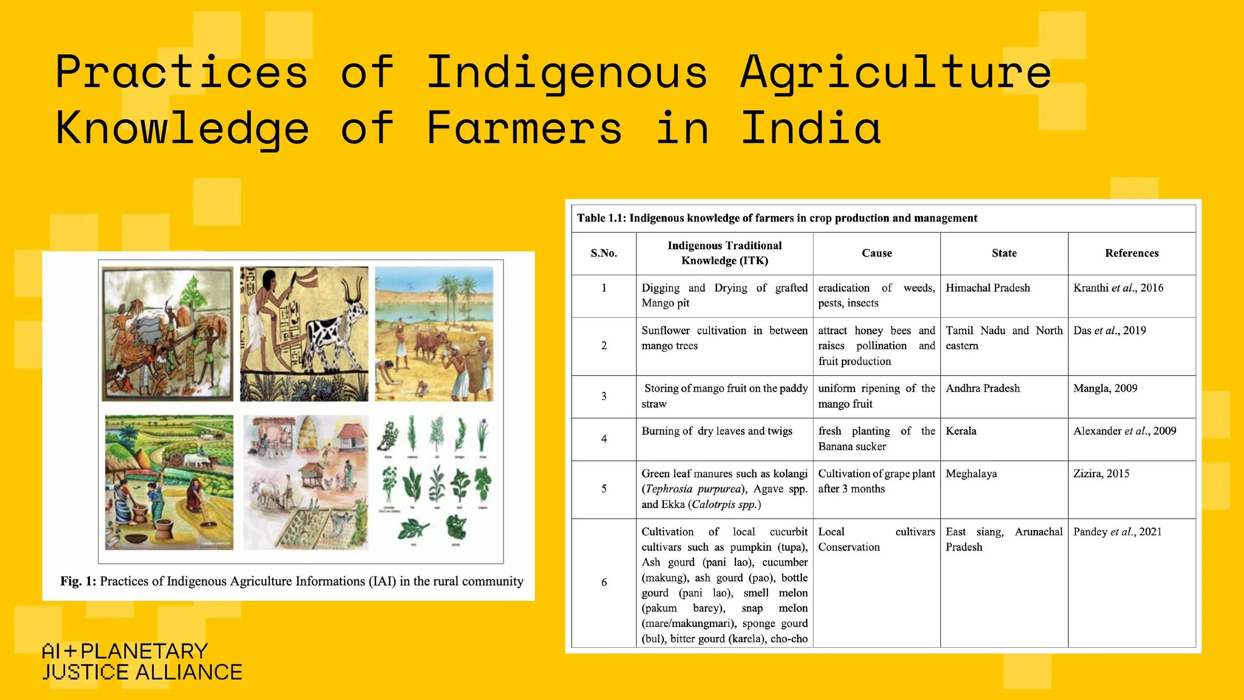 (AIPJ) Toward Epistemic Justice in AI Dataset_ Data Work and Agriculture in India-1-images-15.jpg