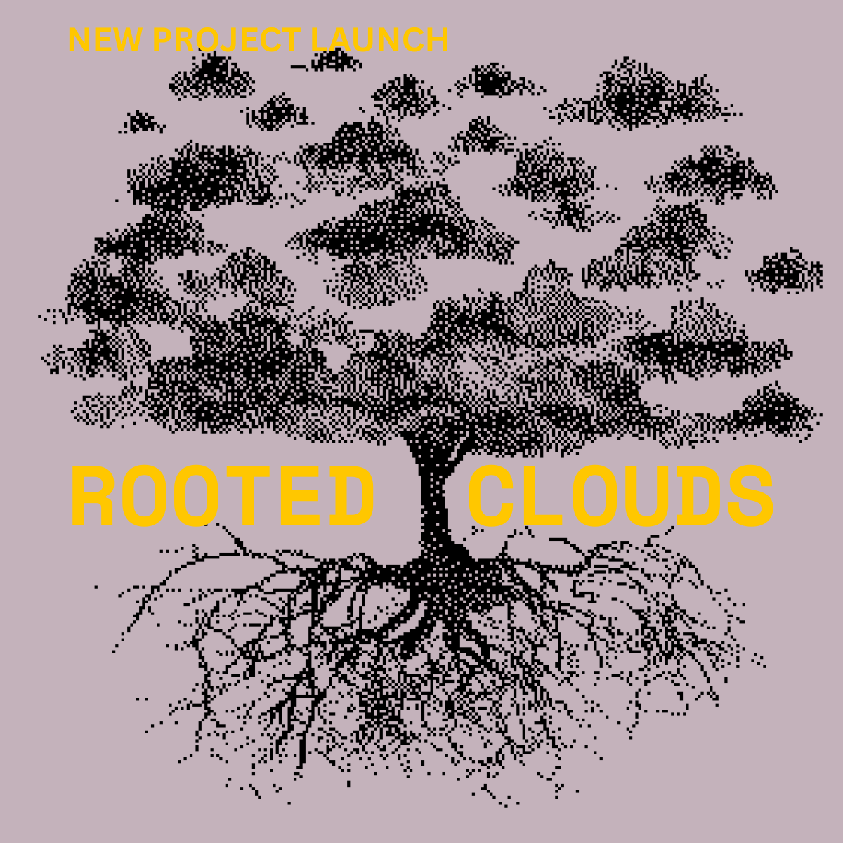 Introducing Our New Project: Rooted Clouds 