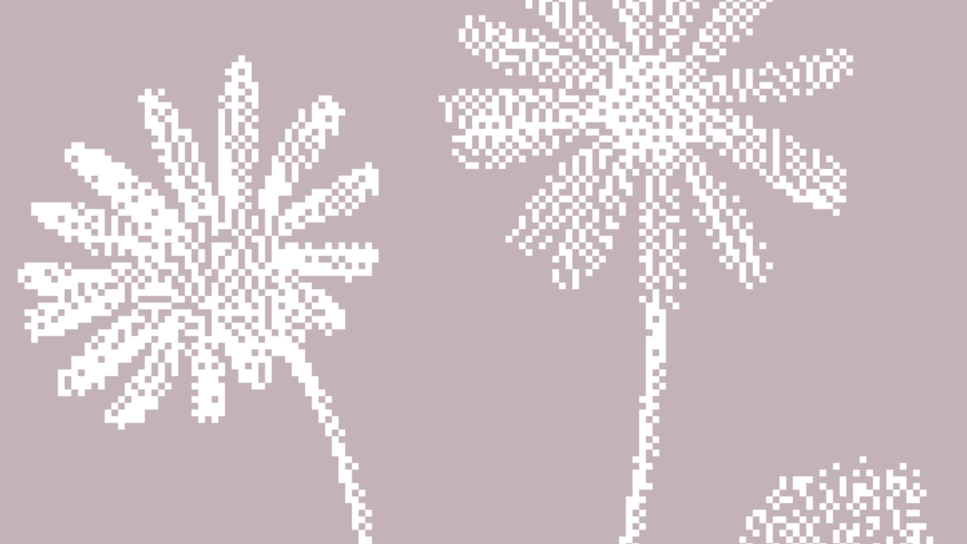 New Cases on the Observatory: January Roundup