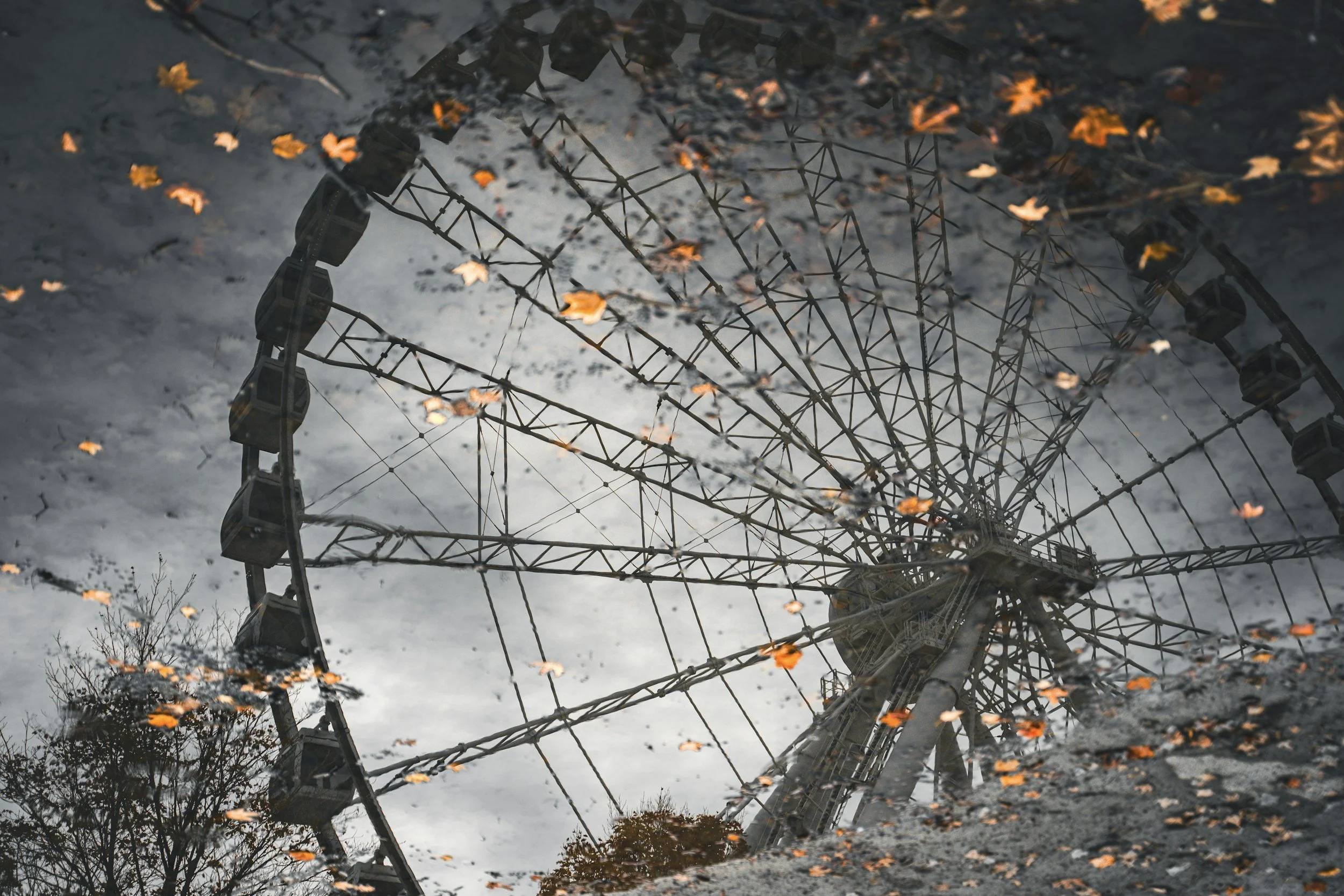 Wheel Of the Year