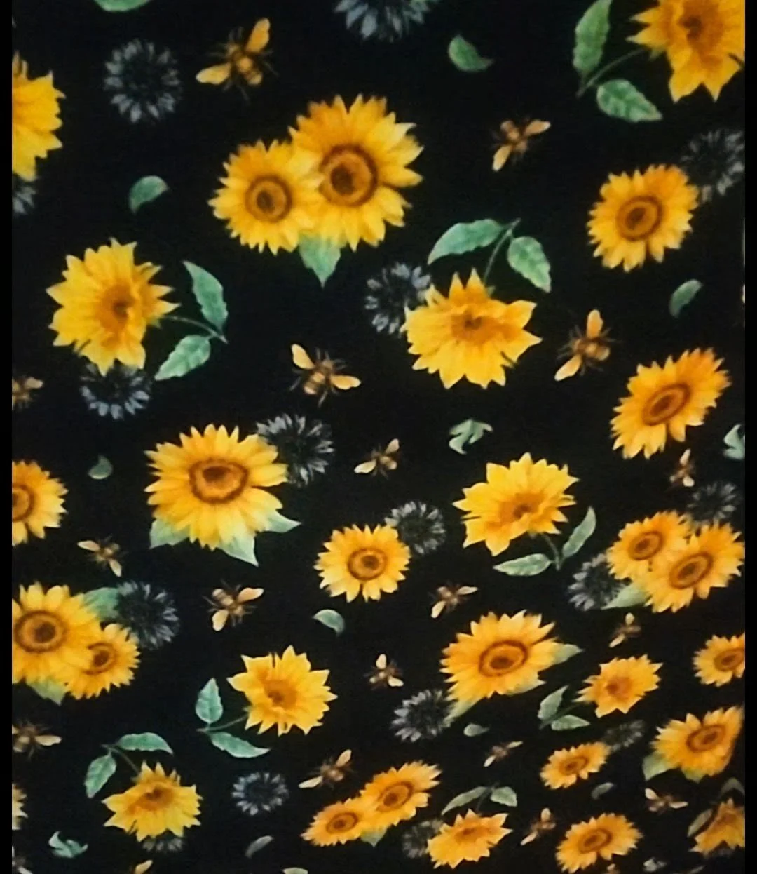 1000010566.jpg