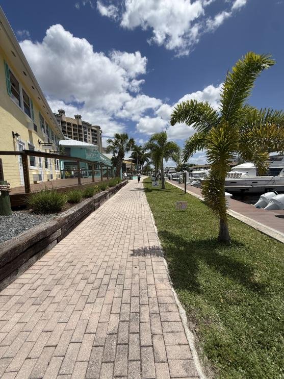 cape coral brow lamination and brow mapping.jpg