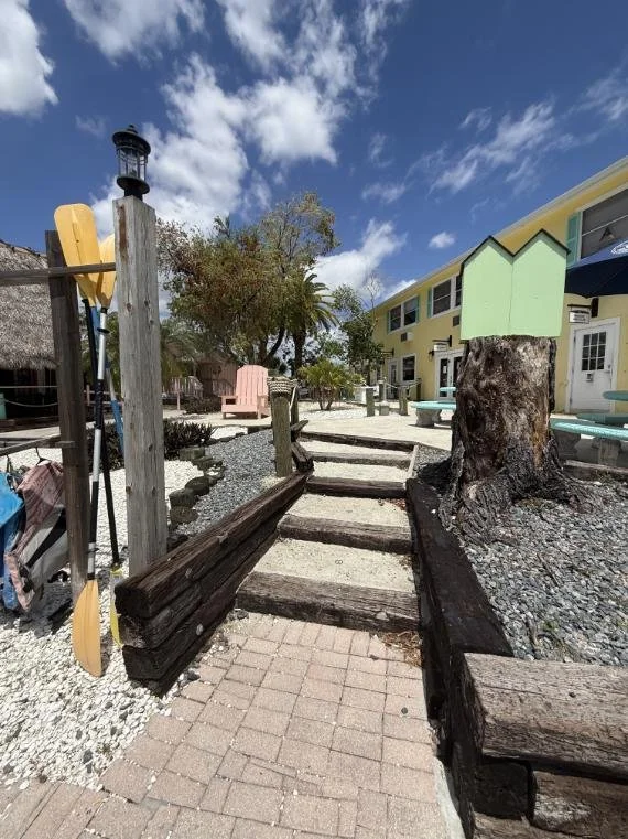 cape coral brow services.jpg