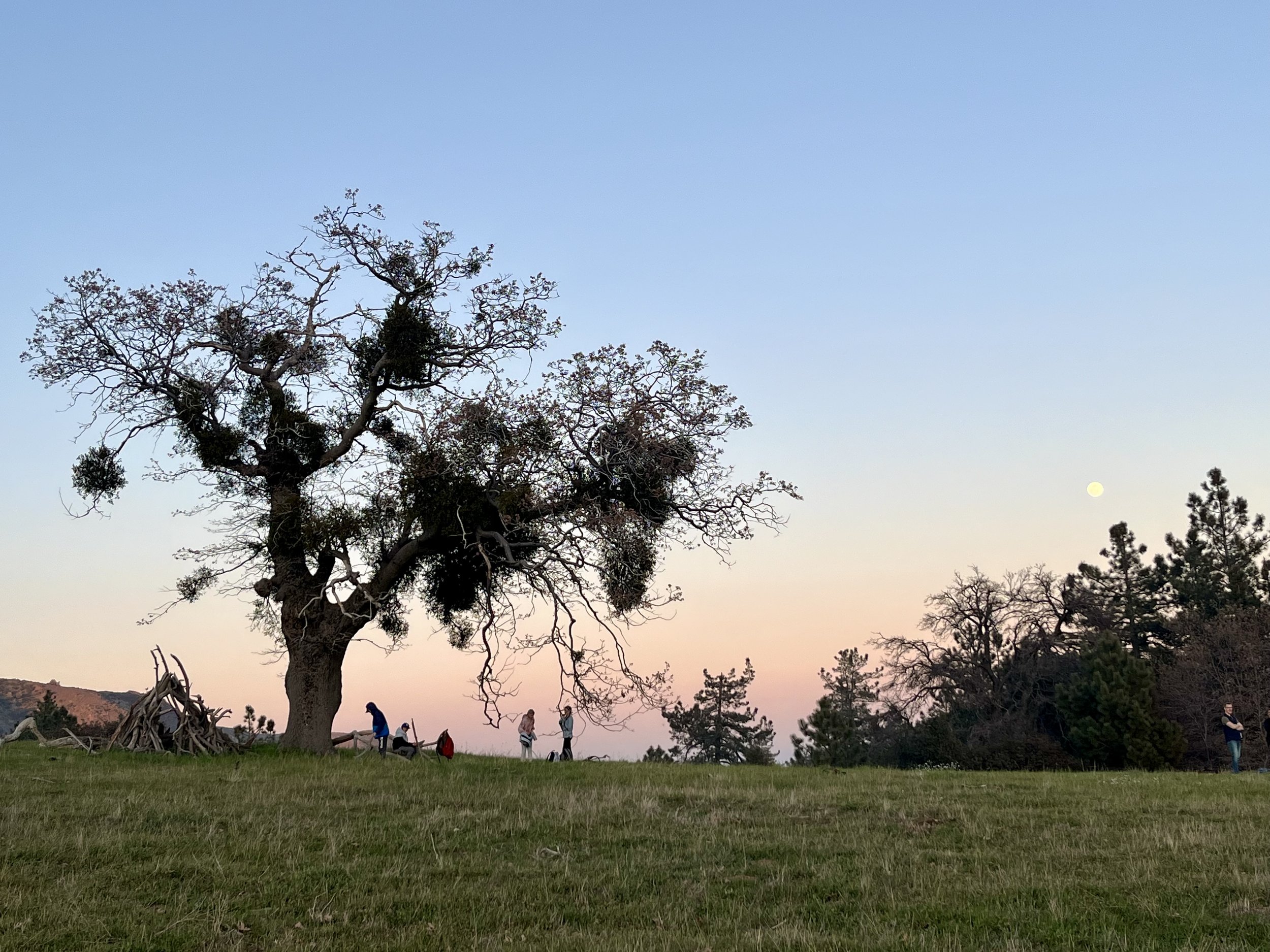 great meadow, kumeyaay land, 2024