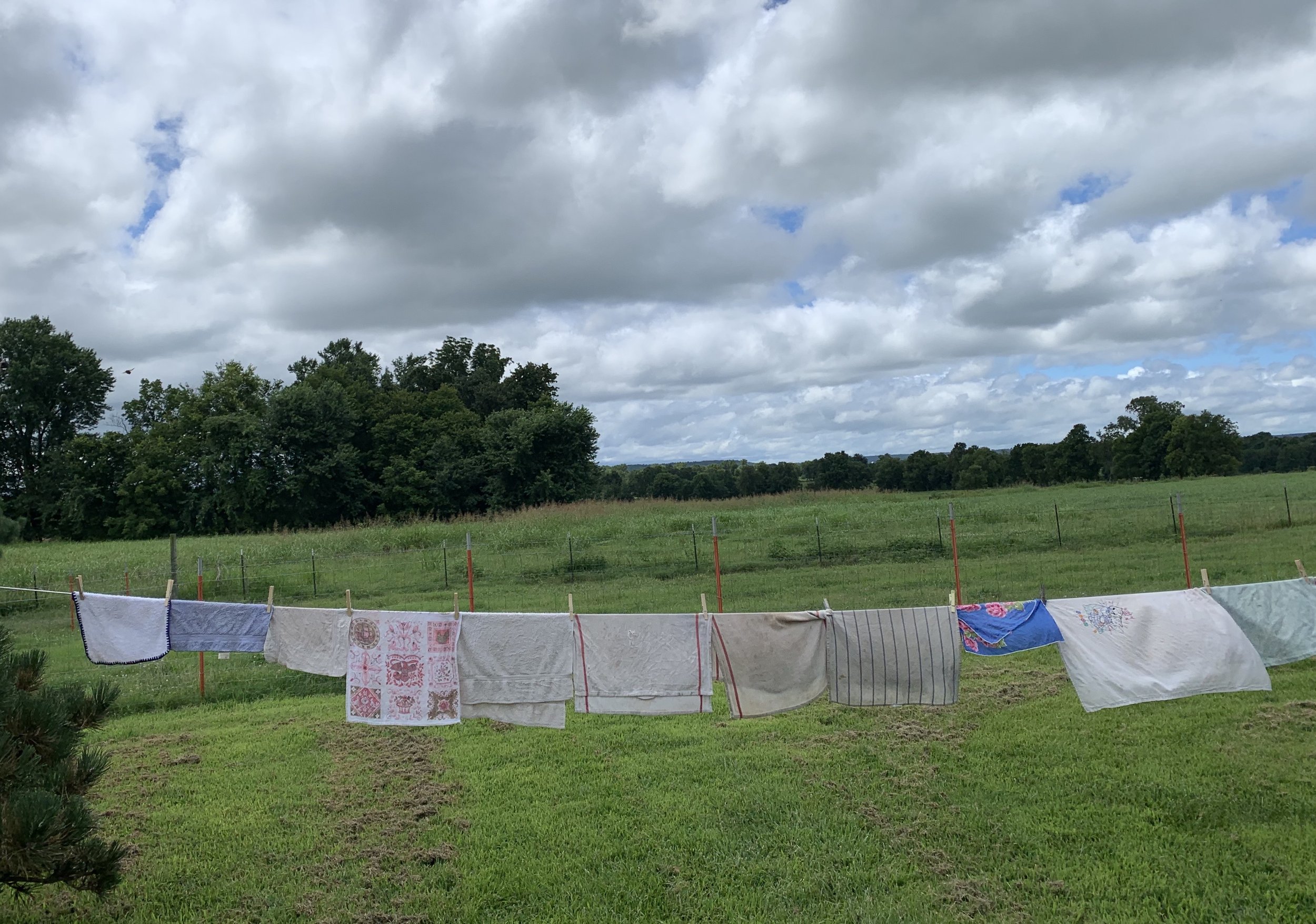 kiikaapoi land, 2019