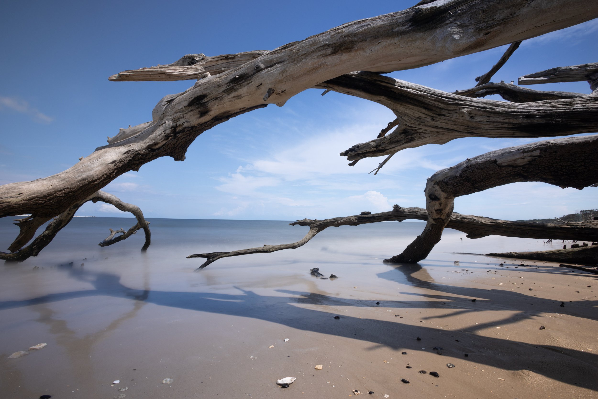 Boneyard…