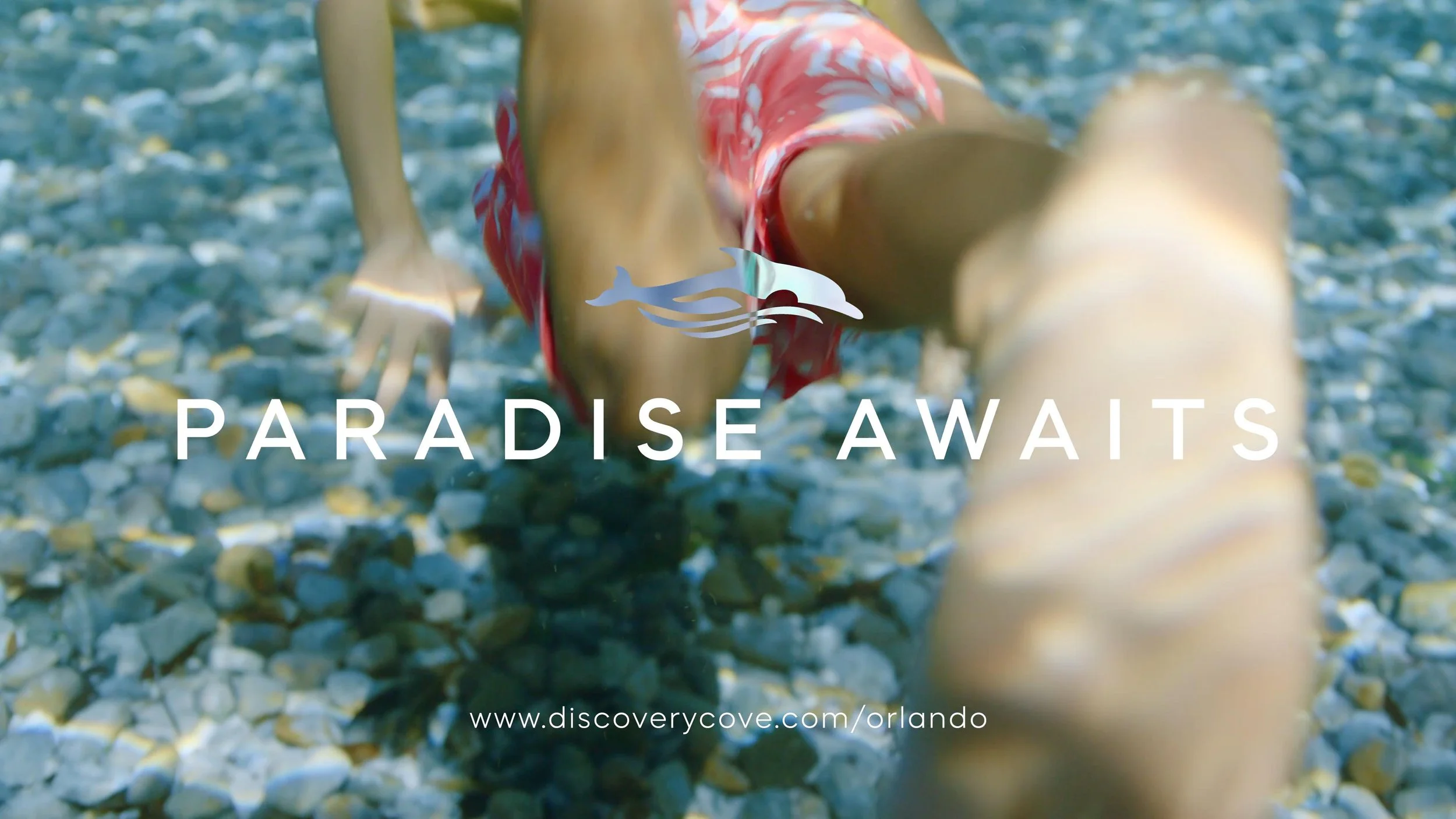 DiscoveryCove_ParadiseAwaits_00002817.JPG