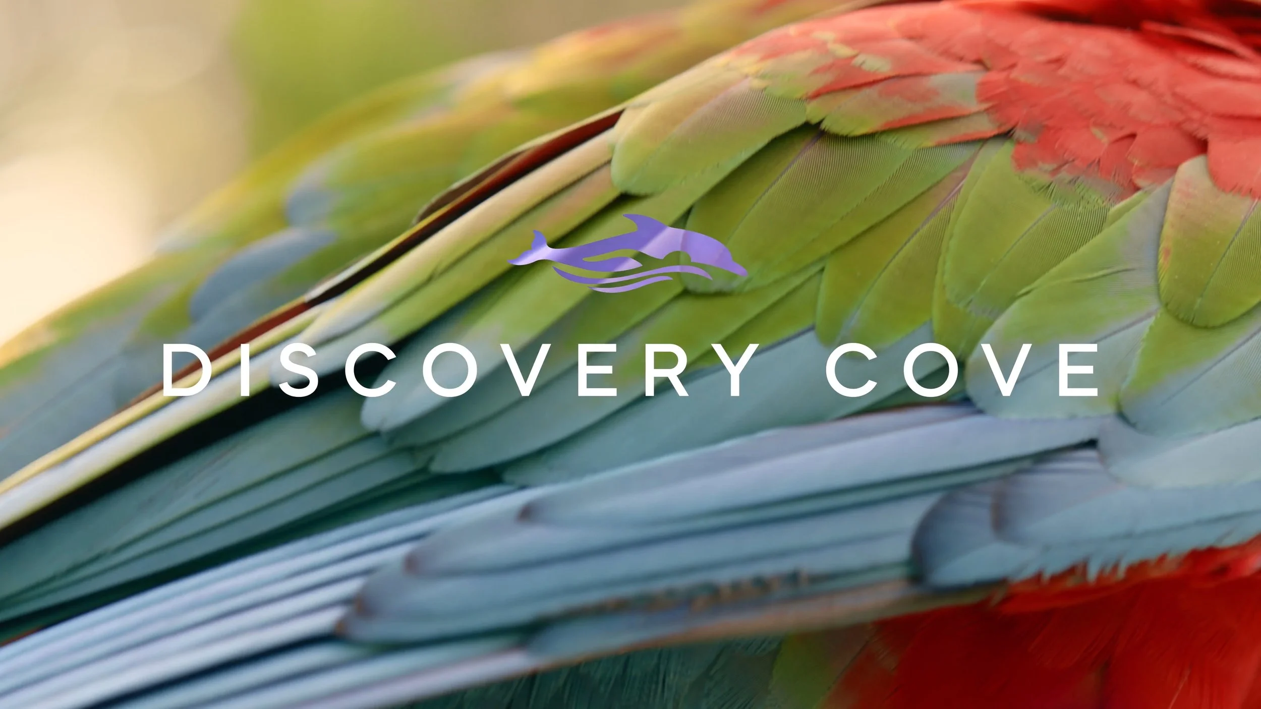 Discovery Cove