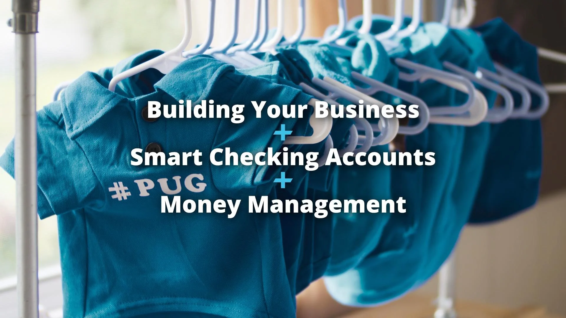 AdditionFinancial_Pug_15_00001118.JPG