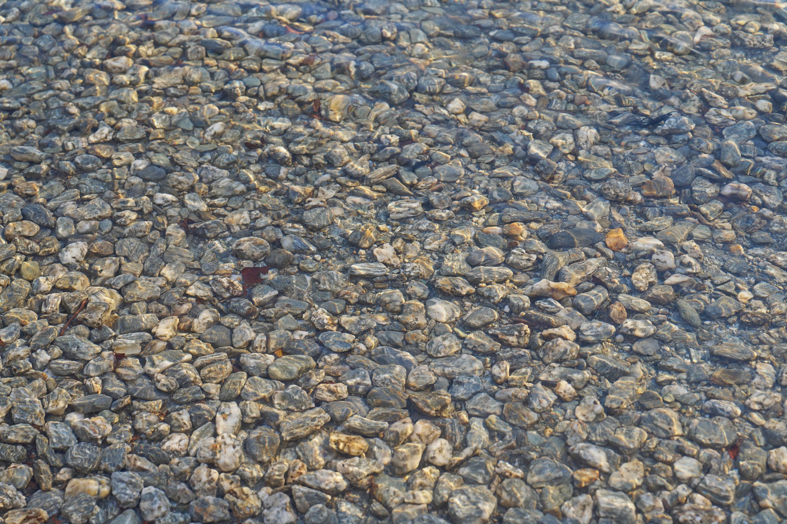 _DSC2423.jpeg
