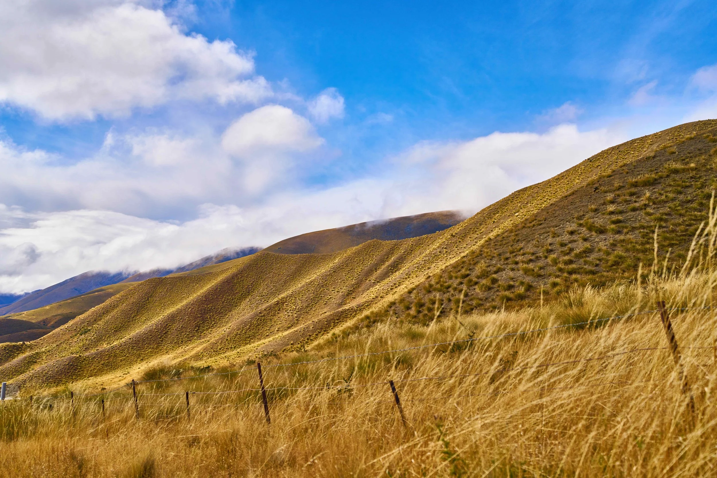 _DSC3318.jpeg
