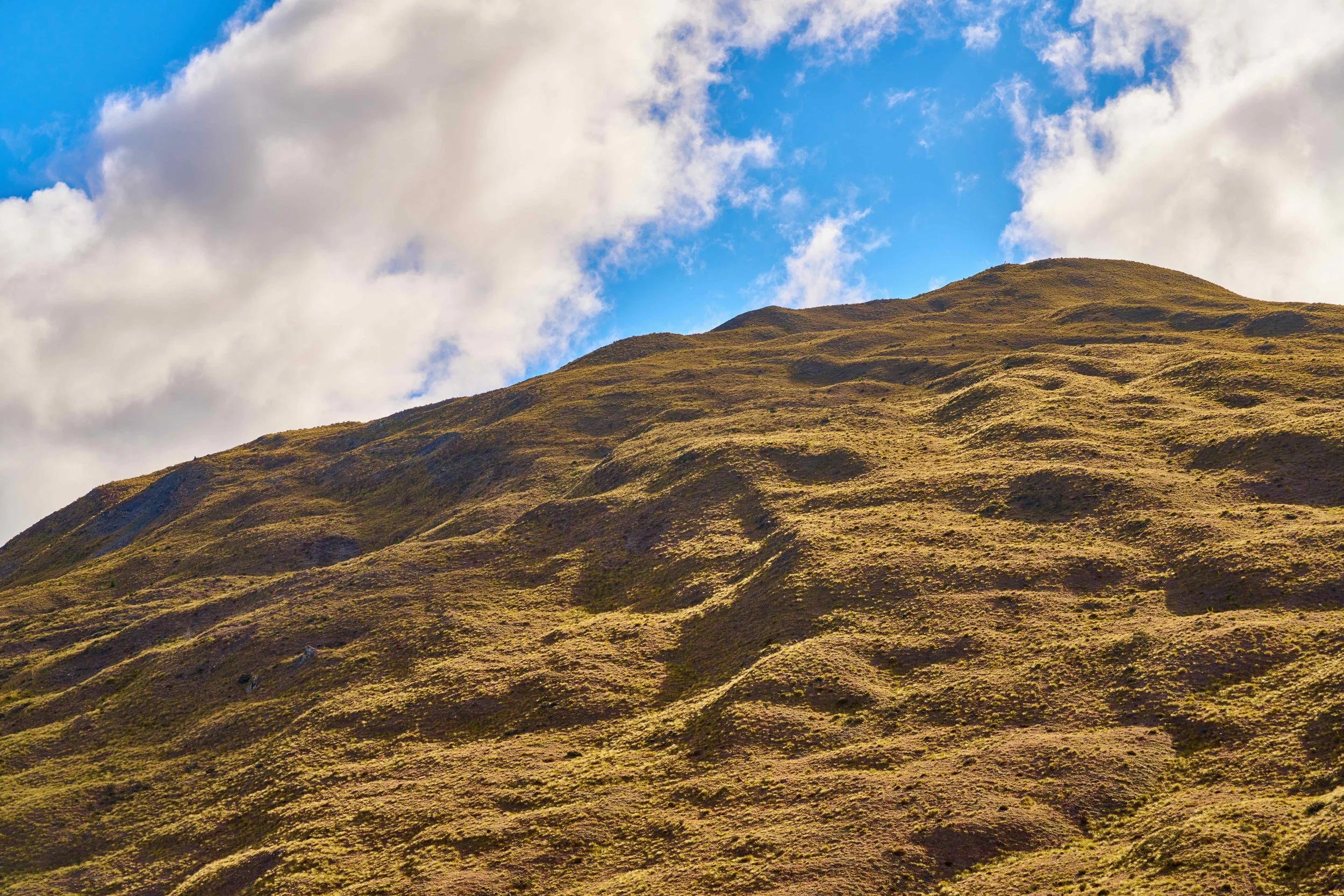 _DSC2513.jpeg