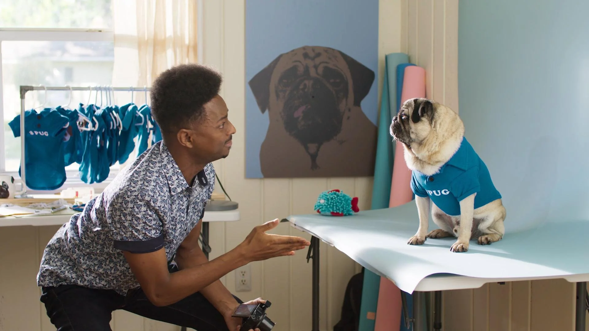 AdditionFinancial_Pug_15_00000607.JPG