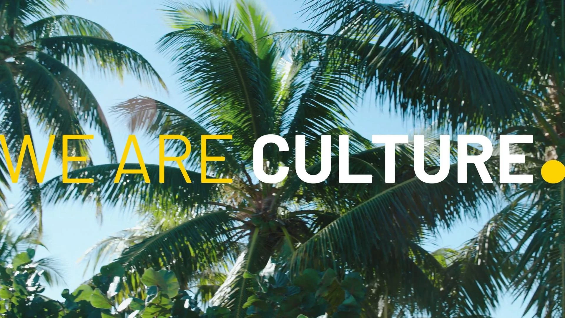 Palm trees against a blue sky with the text 'WE ARE CULTURE.'