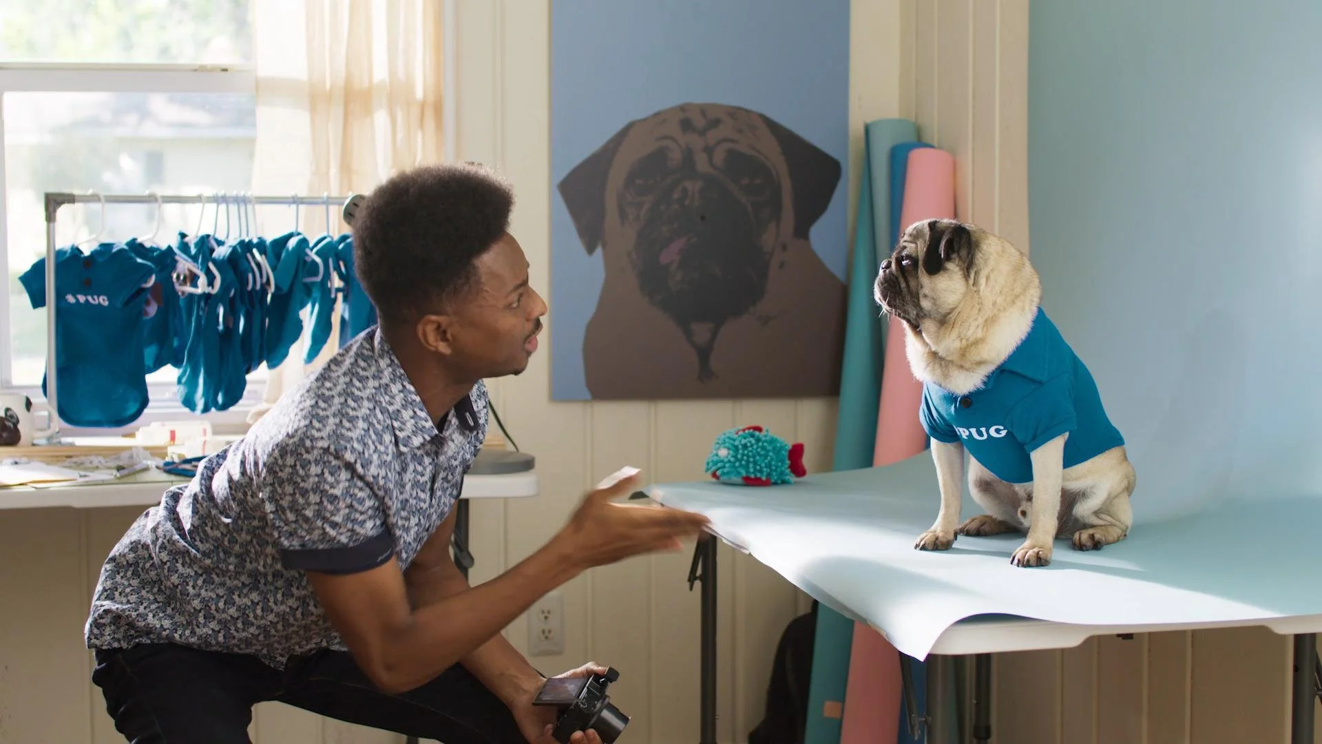 AdditionFinancial_Pug_15_00000521.JPG