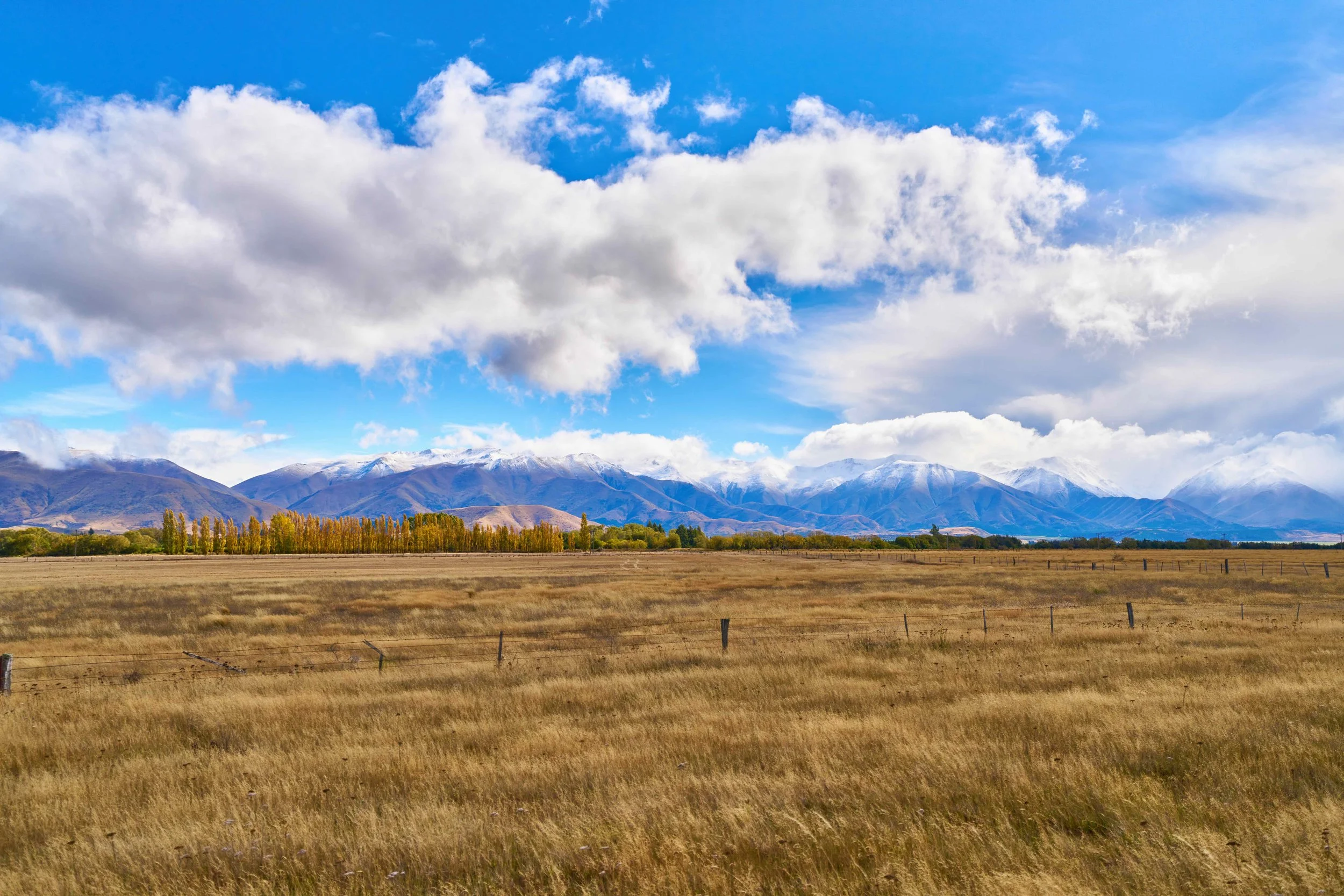 _DSC3341.jpeg