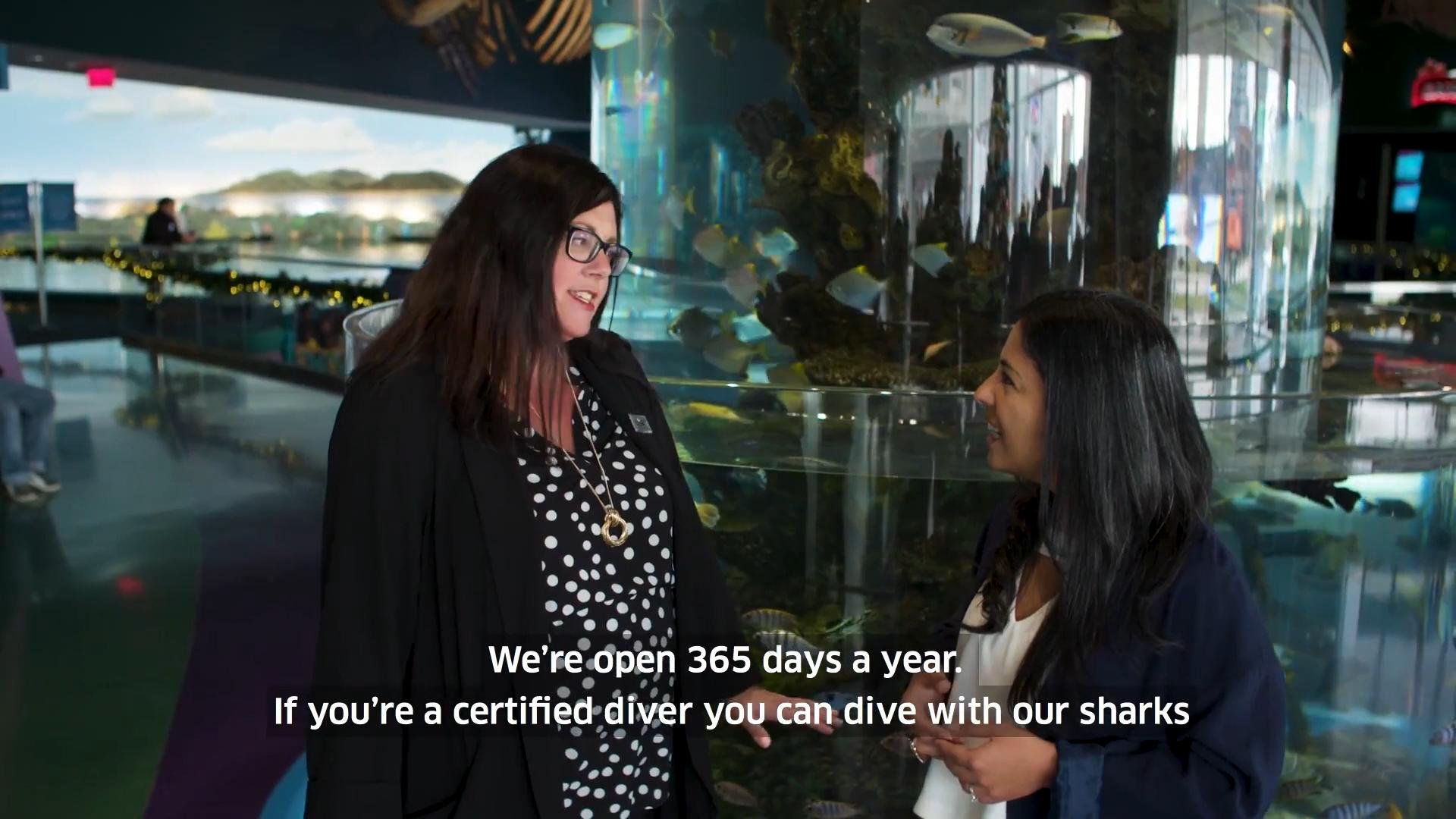 Two women smiling and talking near an aquarium exhibit that has a large circular tank filled with sharks and other fish, with a cityscape visible outside the windows in the background.
