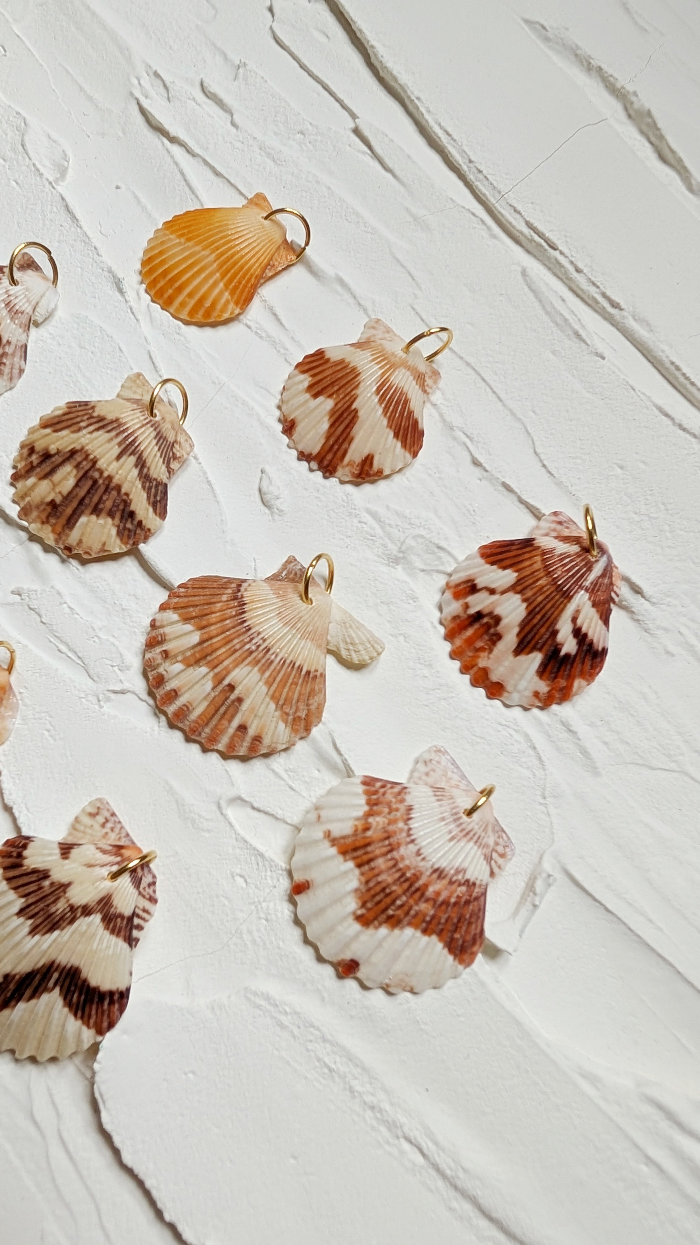 créoles personnalisables coquillage Pecten