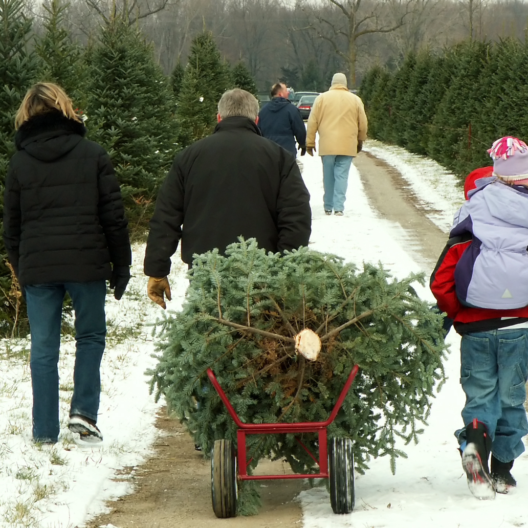 What Are Some Healthy Holiday Traditions for Families in Recovery?