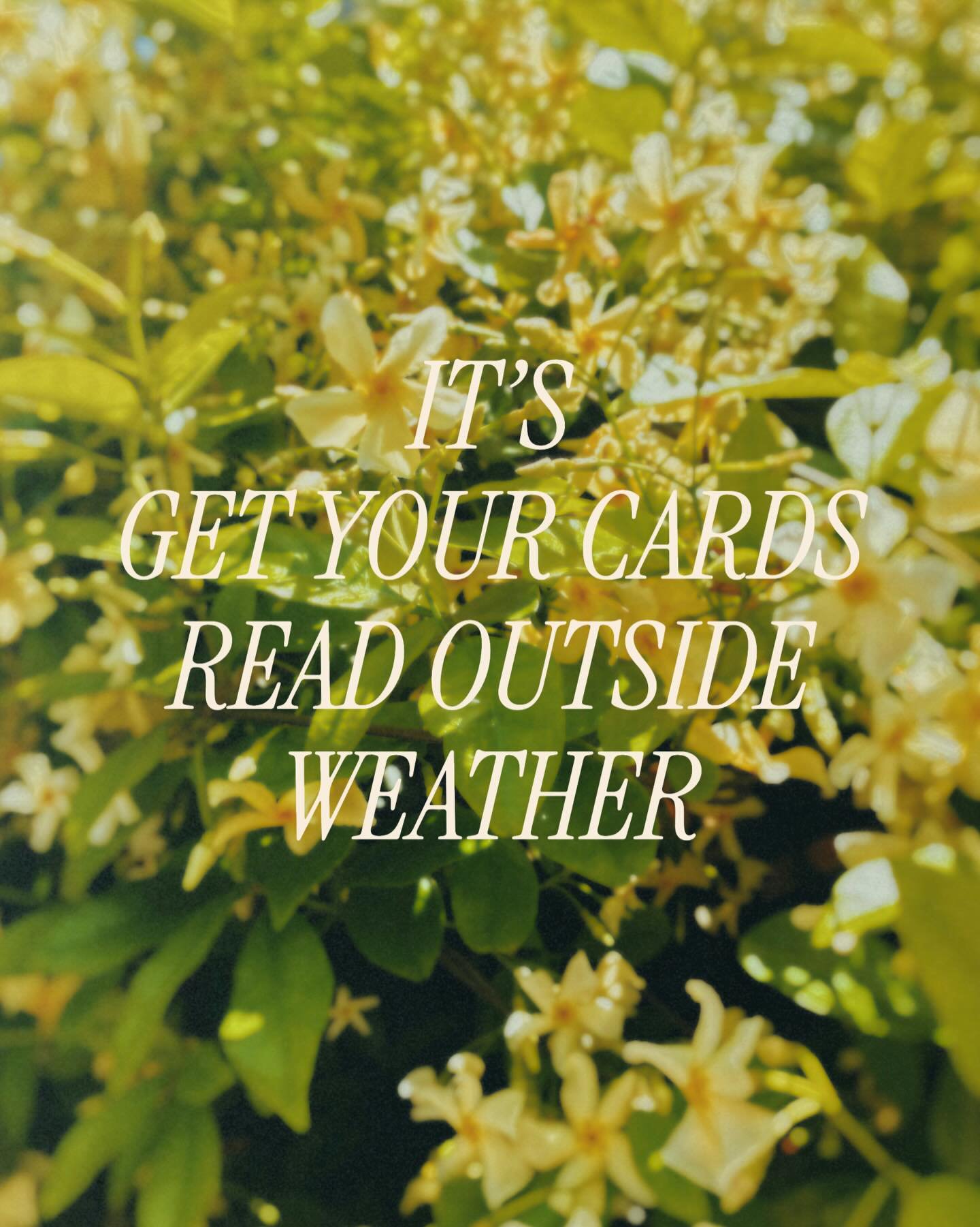 Spring has sprung, baby, and we&rsquo;re in that magical time of year where it&rsquo;s heaven to be outside in New Orleans. Catch me reading today from 10 to 2 at @bandithaircompany for their Jazz Fest market! 

#jazzfest #nolamarket #nolaartmarket #