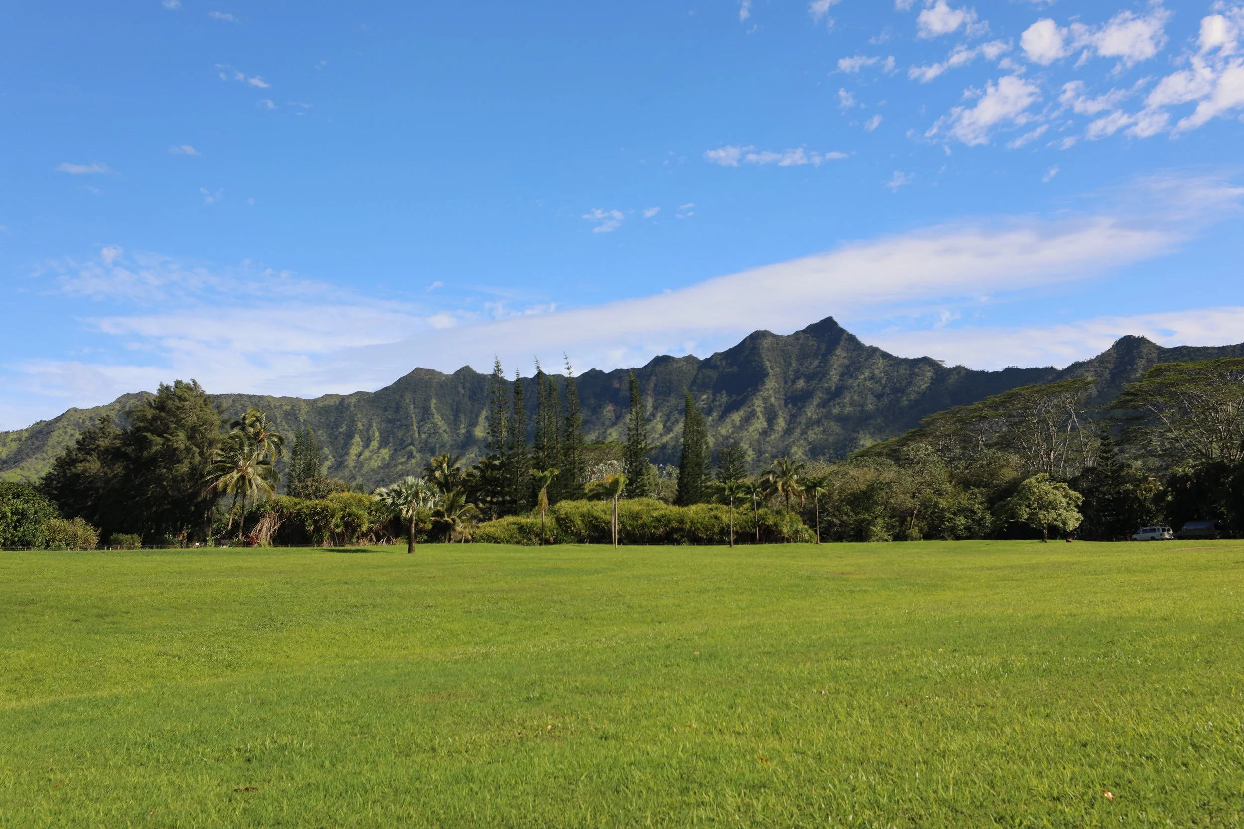 A lush green field with a backdrop of tall trees and a mountain range under a partly cloudy blue sky.
