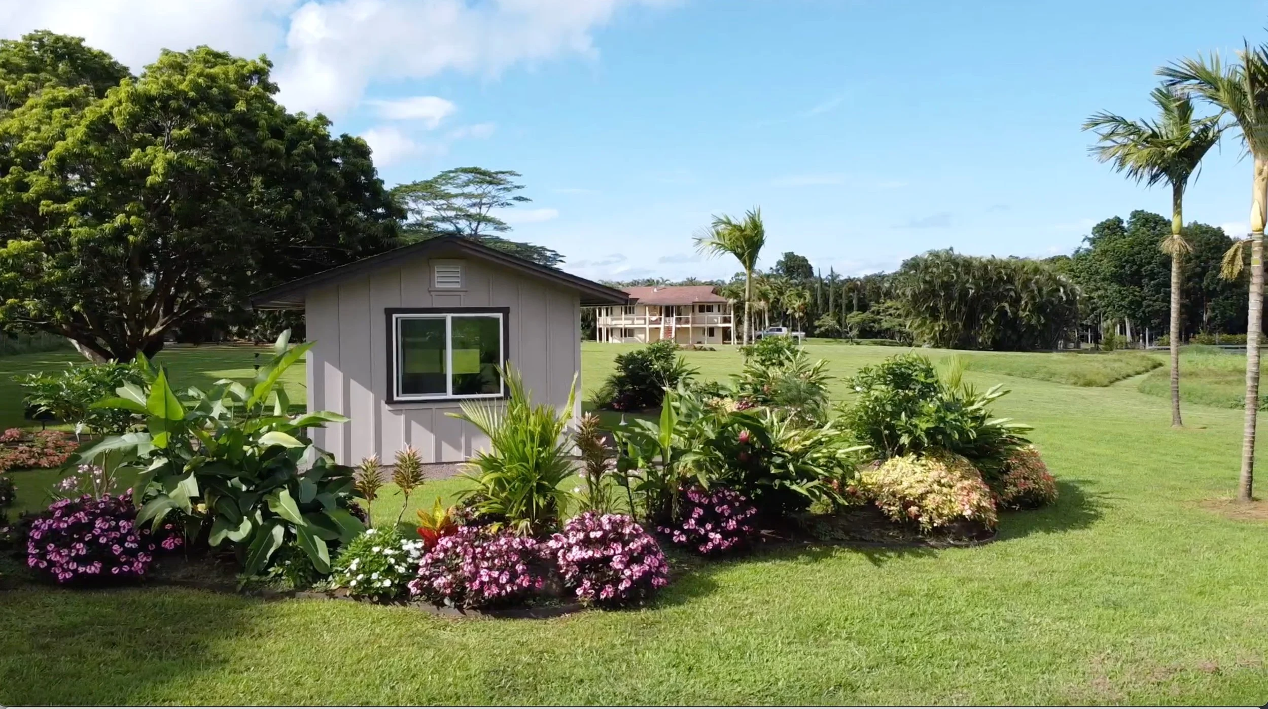 Small garden with blooming flowers and lush greenery in front of a shed, located on a manicured lawn with palm trees and a large tree in the background, and a multi-story building visible further away.