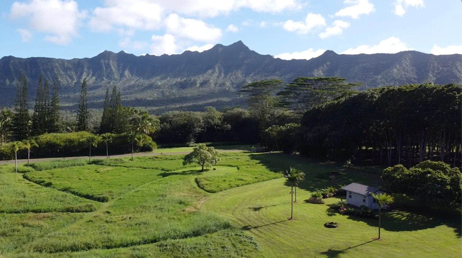 Lush green landscape with hills in the background, tall trees, open grassy fields, and a small building surrounded by palm trees under a partly cloudy sky.
