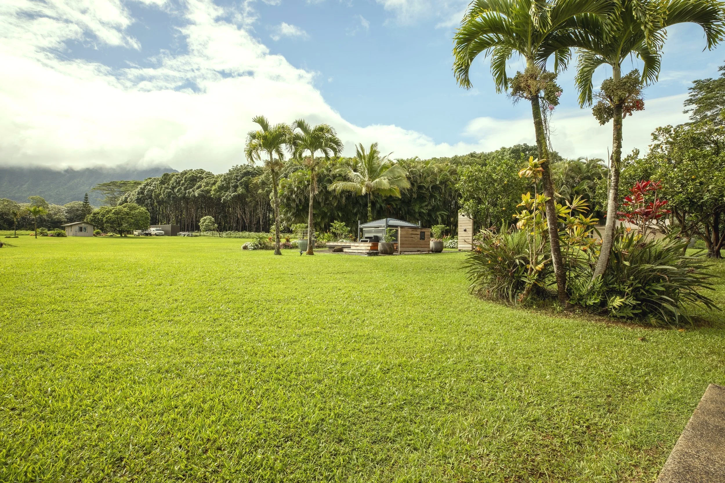 A lush green lawn with several tall palm trees, tropical bushes, and a small house or shed in the background under a partly cloudy sky.