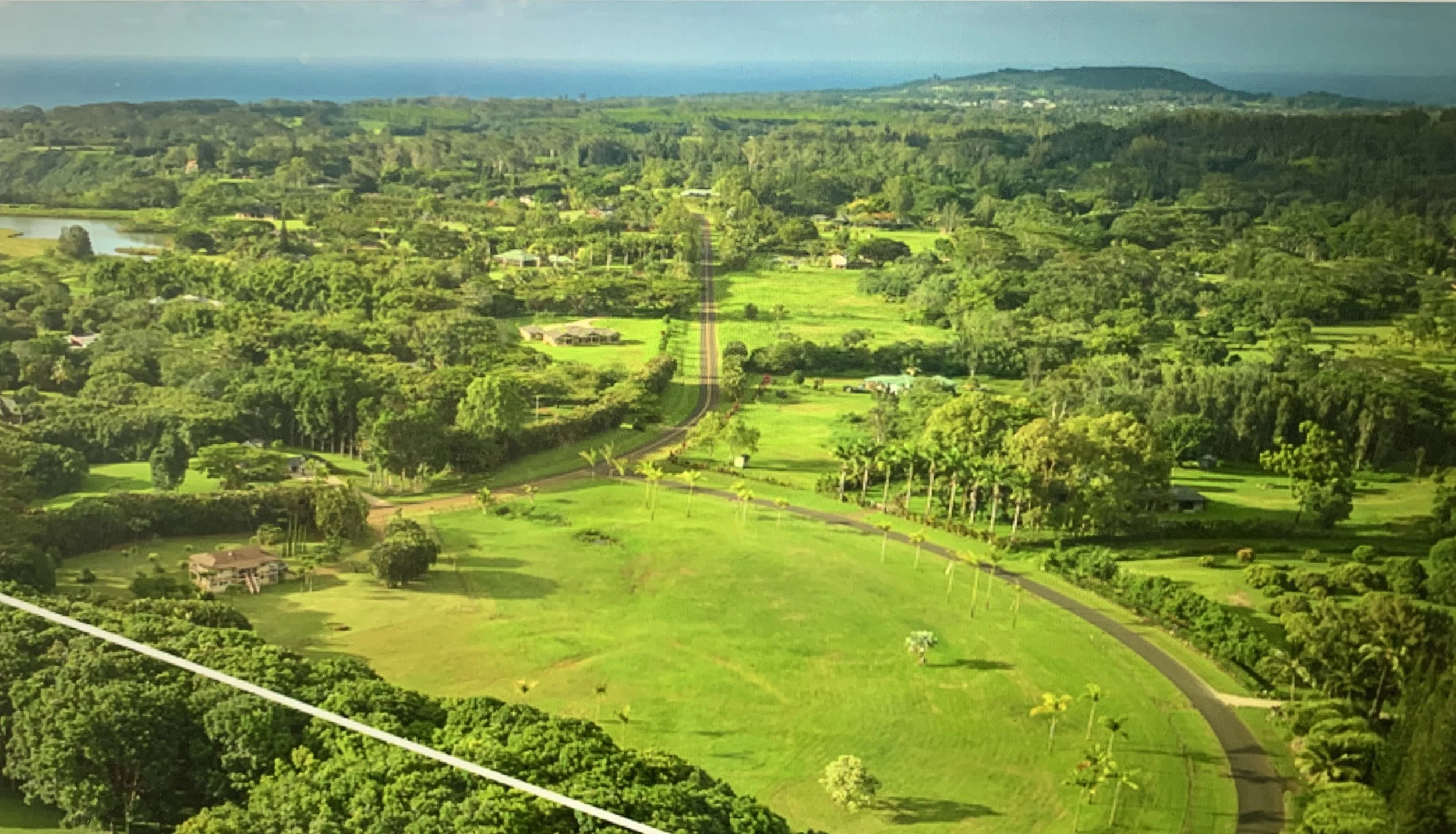 Aerial view of lush green landscape with trees, grass, and winding roads, extending towards a distant shoreline.