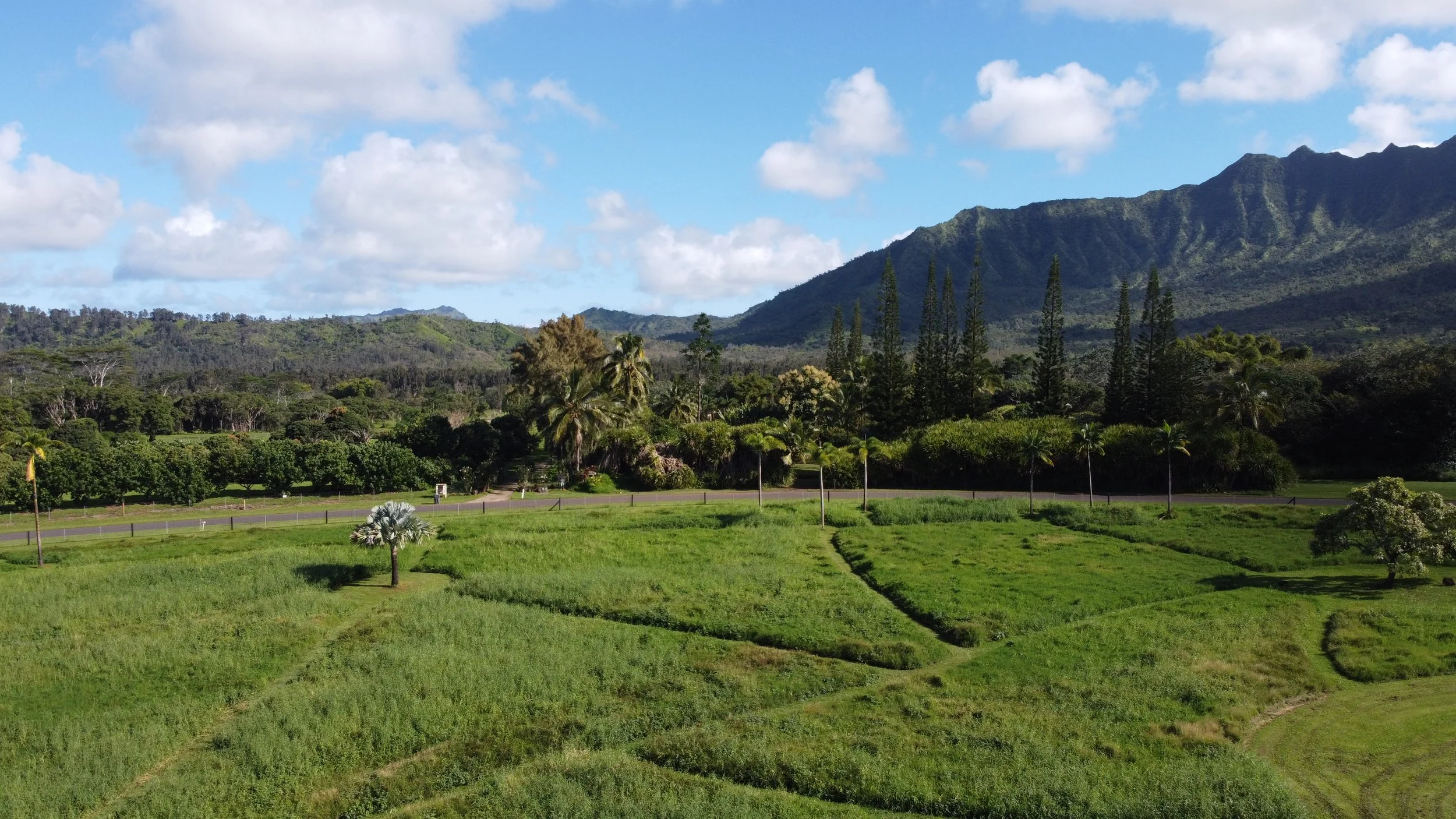 Lush green landscape with small trees and shrubs, city street with a fence in the background, surrounded by mountains under a blue sky with scattered clouds.