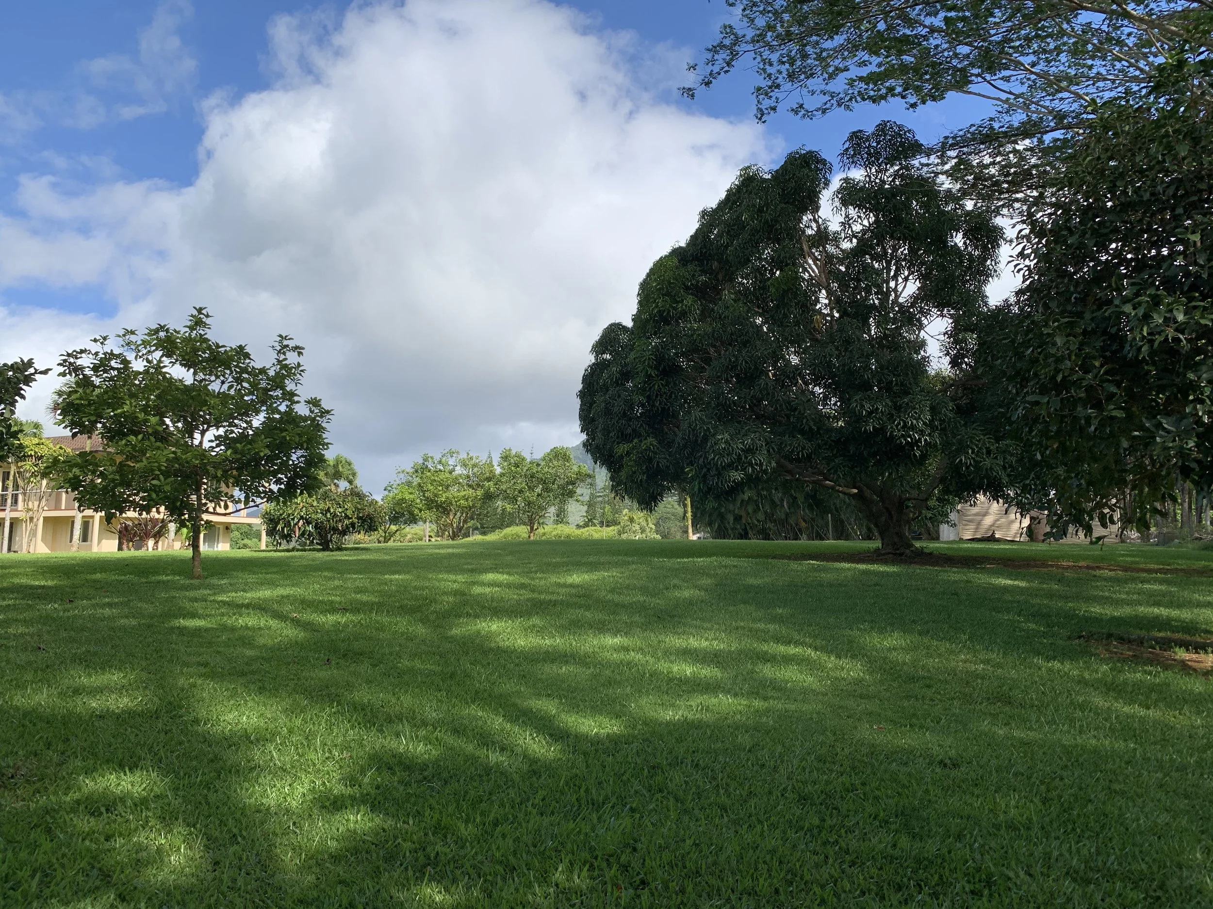 A lush green park with well-maintained grass, multiple trees, and a partly cloudy sky.