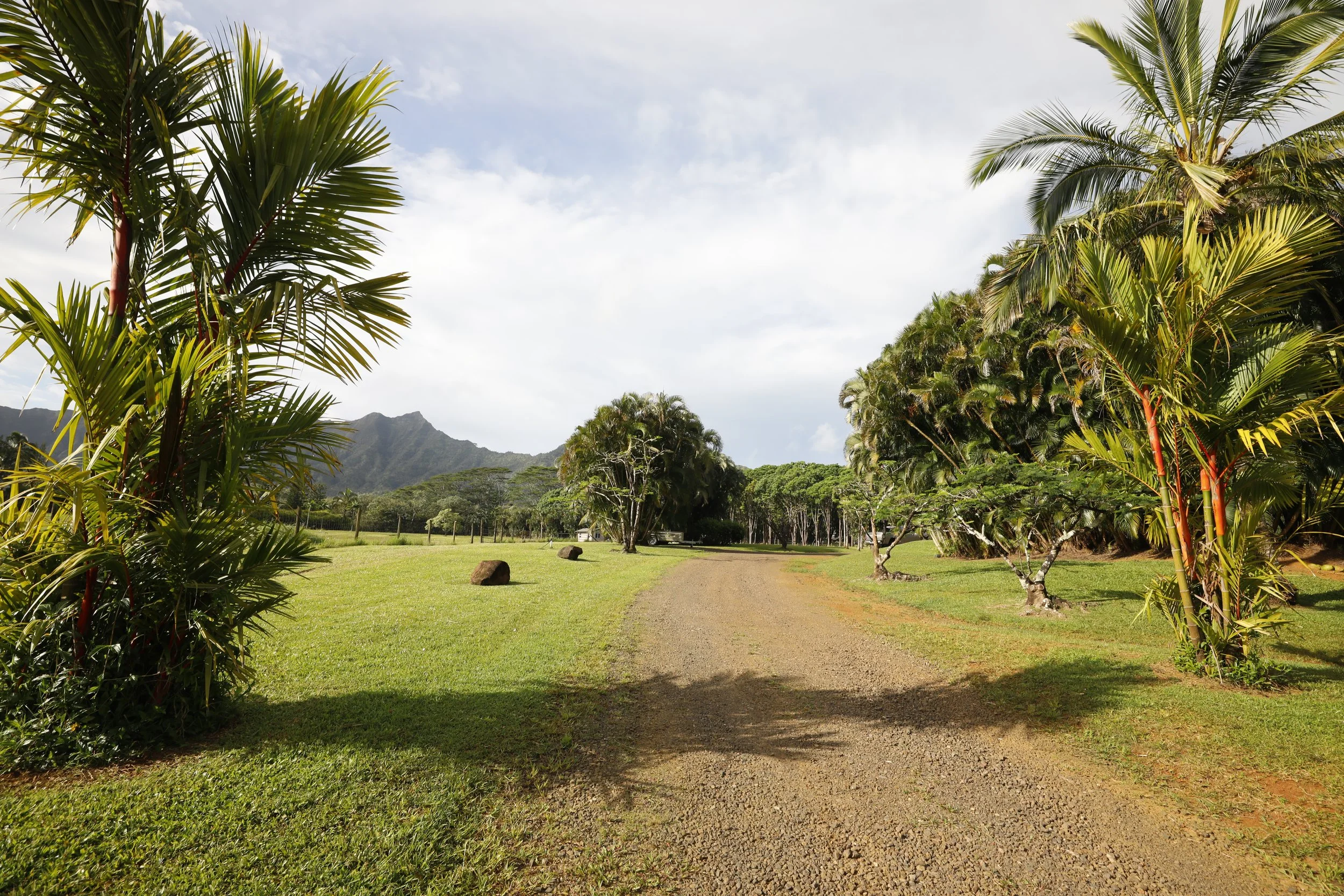 A gravel path runs through lush green grass, flanked by tall palm trees and tropical plants, with mountains in the background and a partly cloudy sky.