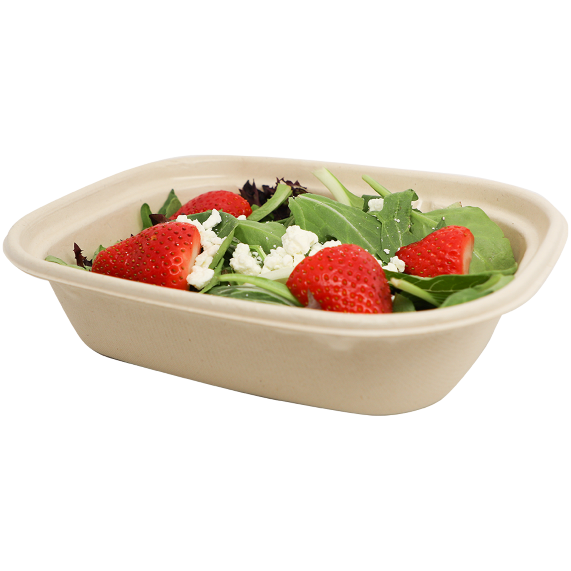 CT-SC-U2-LFP_2_2000x2000.png