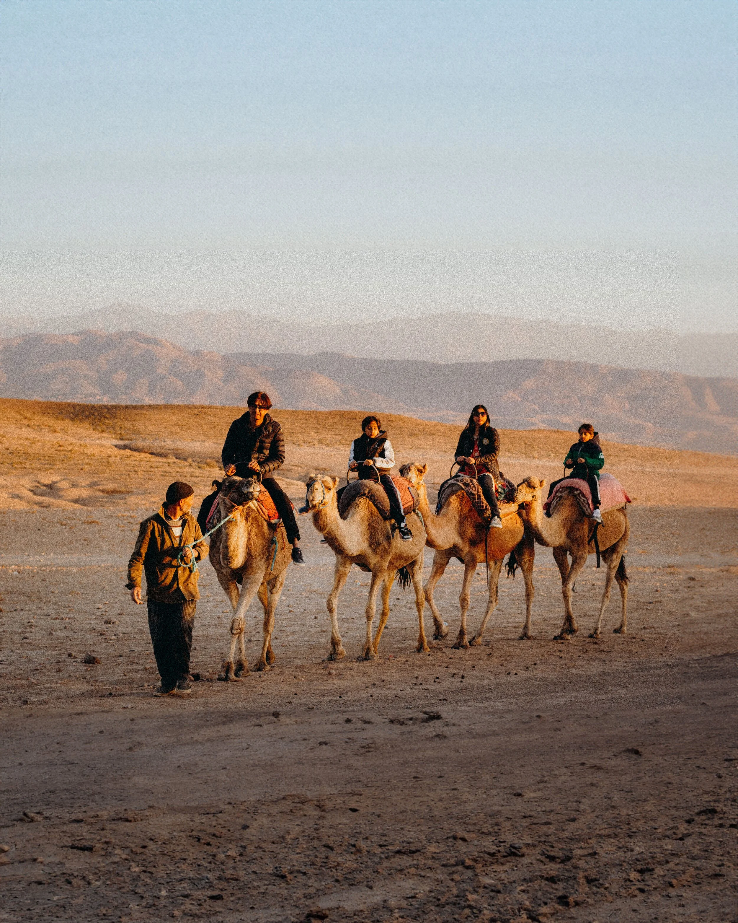 Personnes montant des chameaux dans un désert avec des montagnes en arrière-plan.
