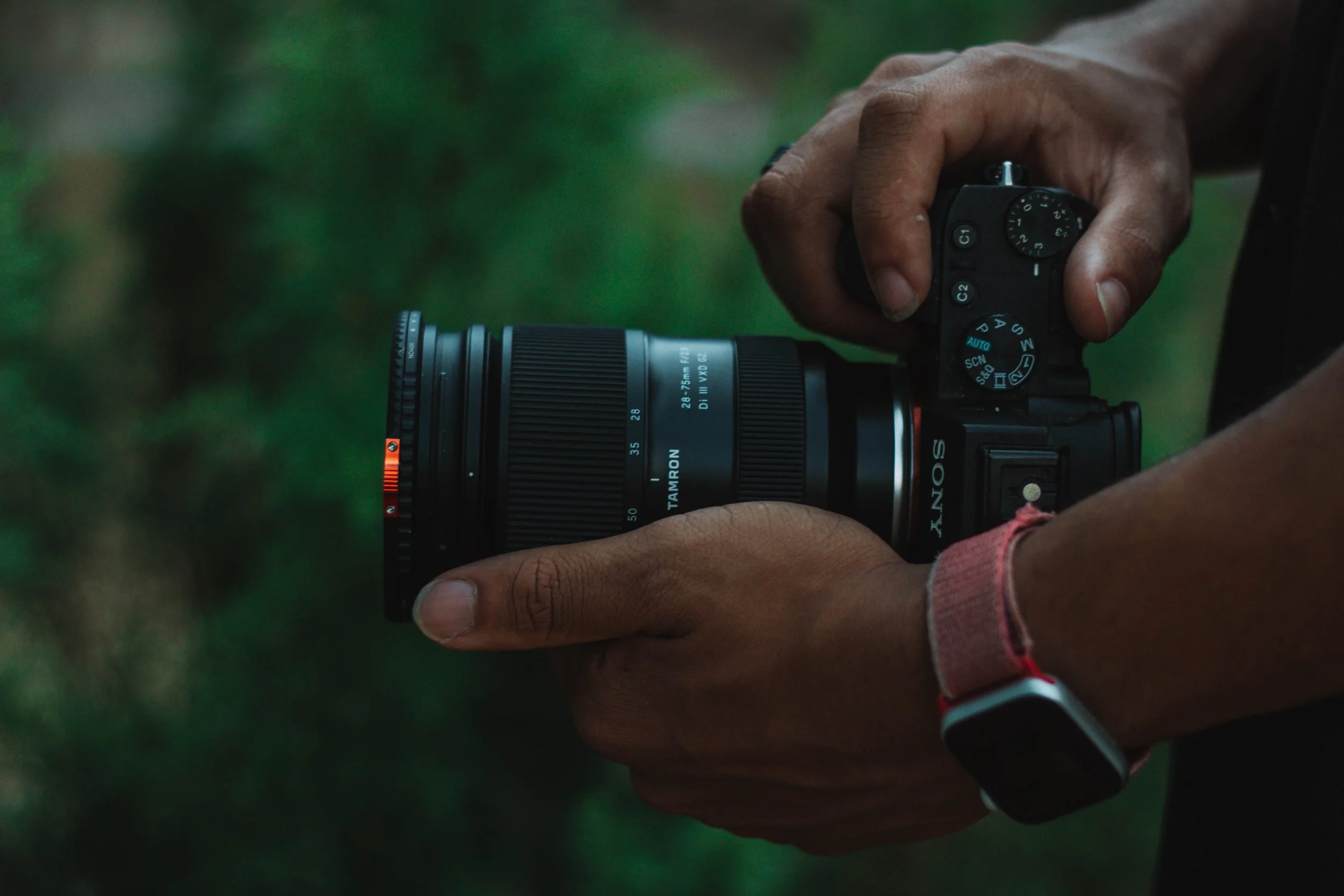 Main tenant un appareil photo Sony avec objectif Tamron, fond flou vert.