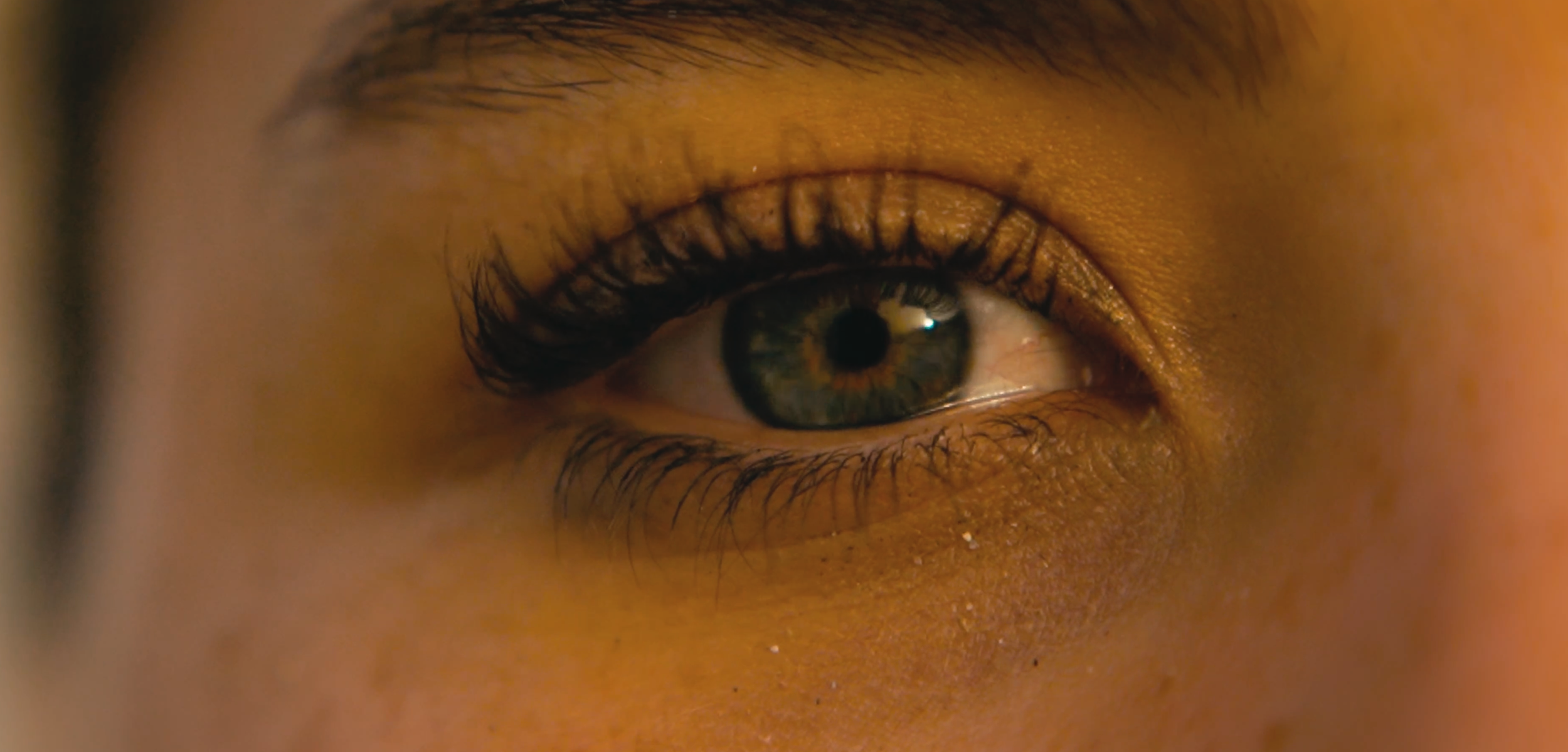 Capture d’écran 2026-03-07 à 18.38.18.png