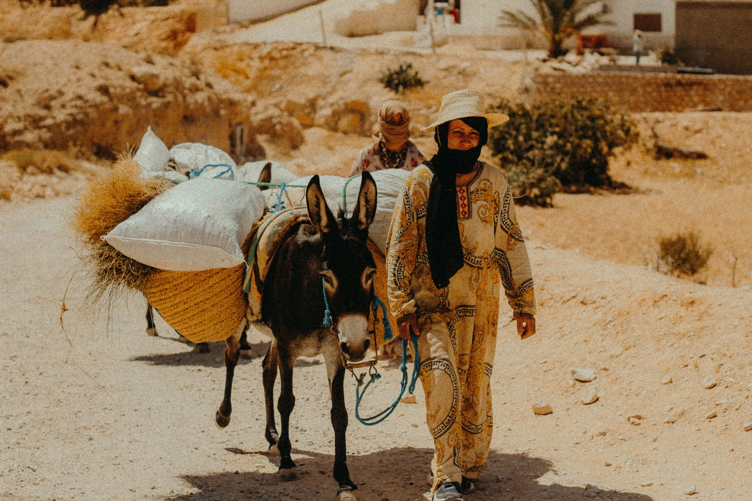 Femme en vêtements colorés, portant un chapeau, marche avec un âne chargé de sacs, dans un paysage désertique