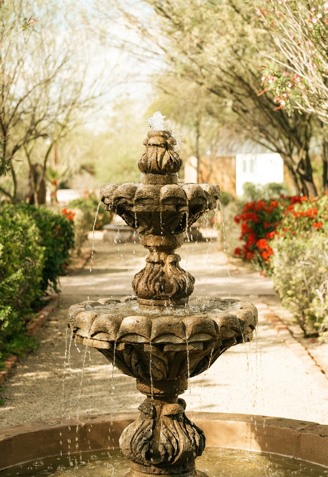 melanieophotography-416_websize.jpg