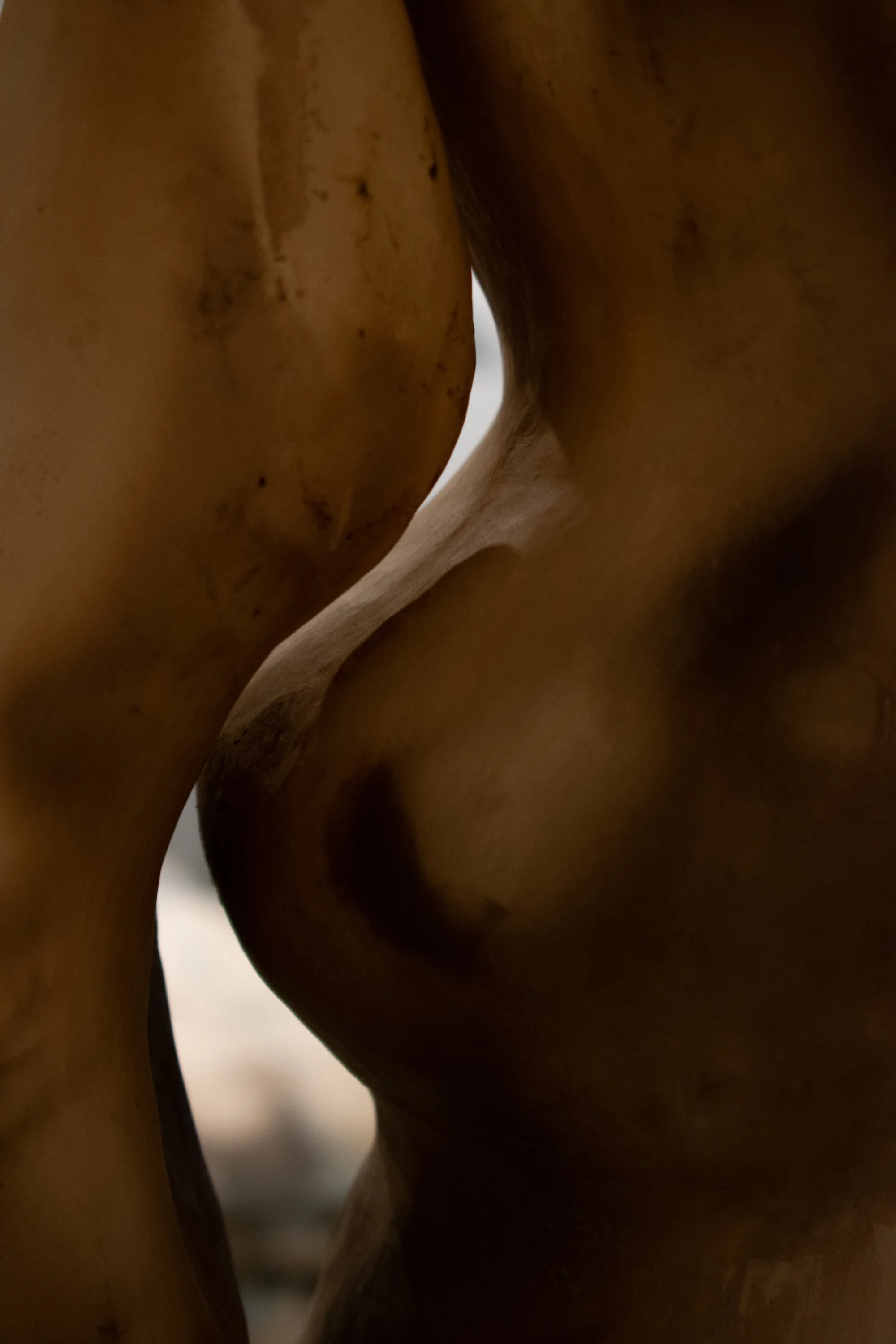 Thesis Photos-88.jpg