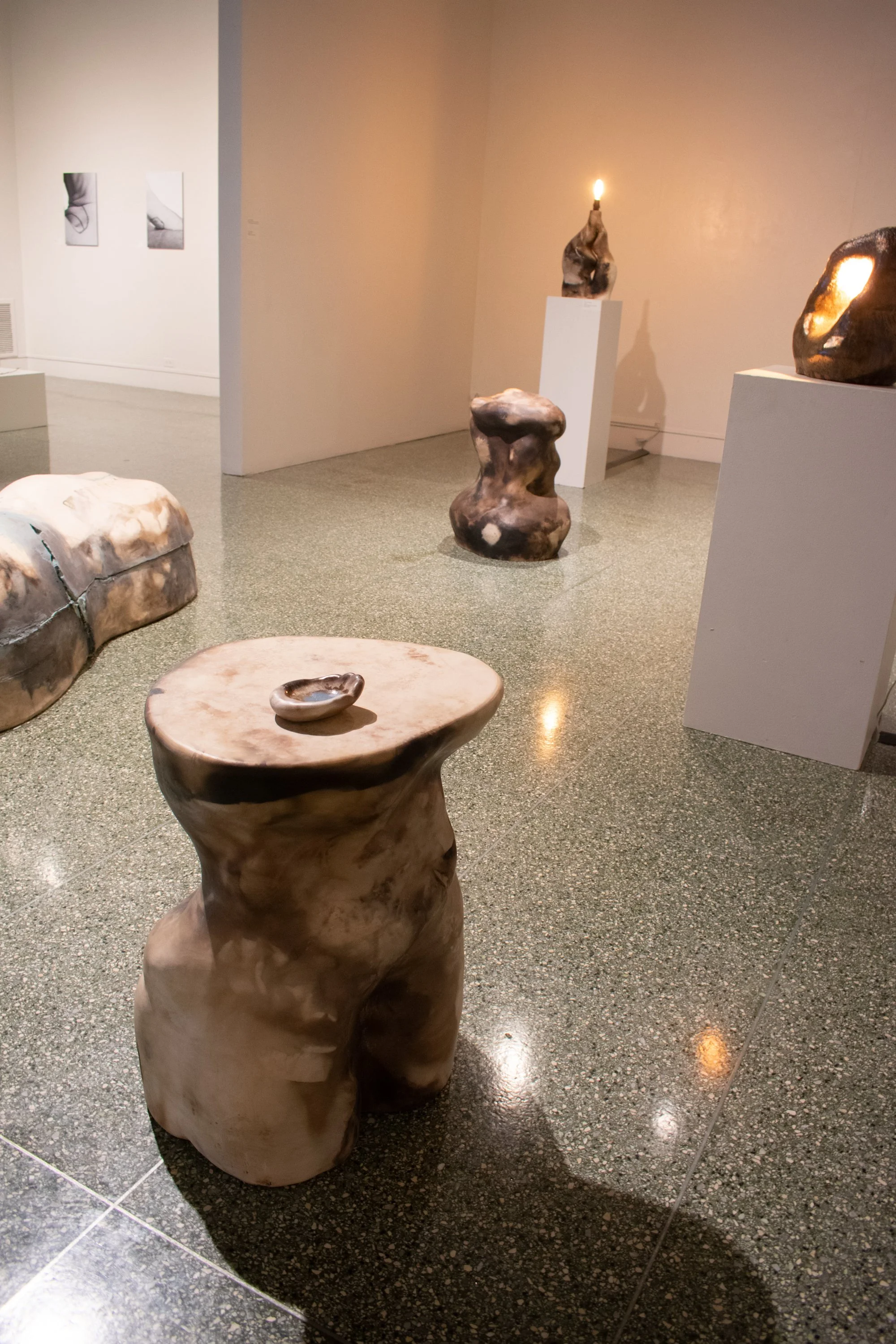 Thesis Photos-35.jpg