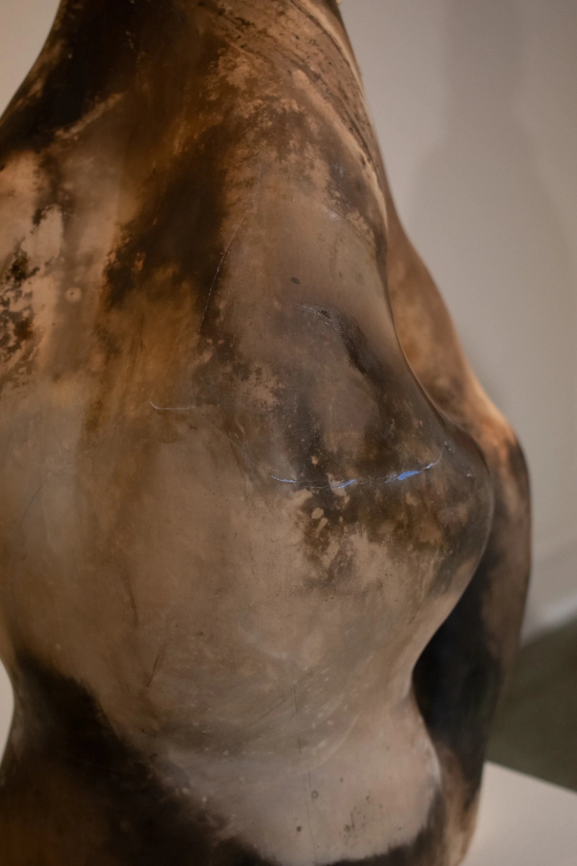 Thesis Photos-69.jpg